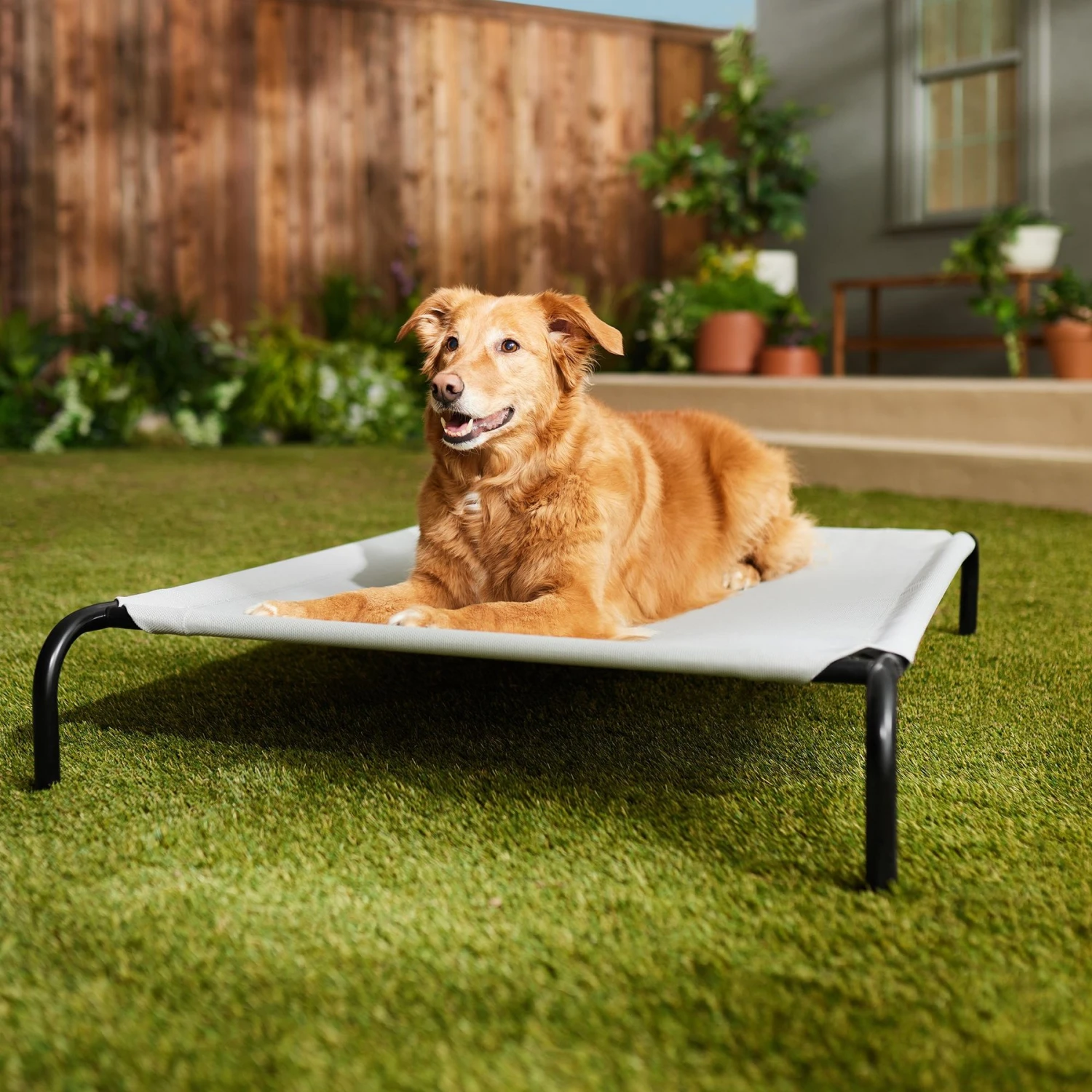 Frisco Steel-Framed Elevated Dog Bed