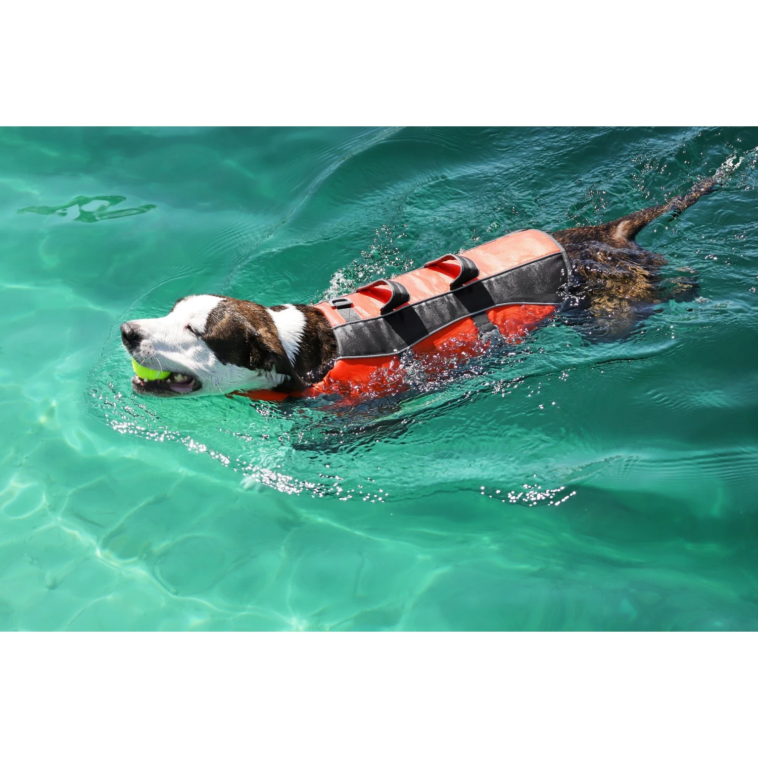 Frisco Ripstop Dog Life Jacket - Image 9