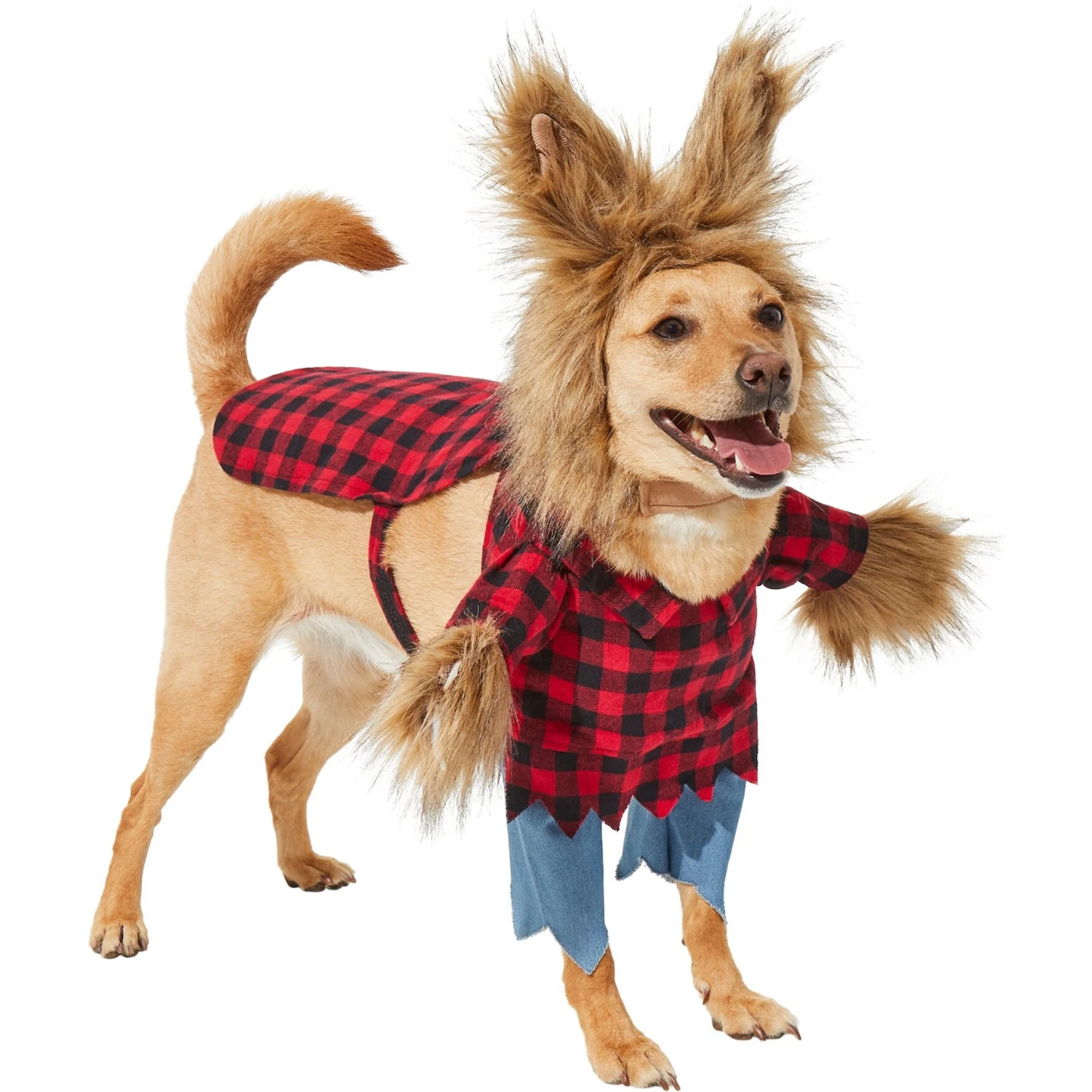 Frisco Front Walking Werewolf Dog & Cat Costume - Image 4