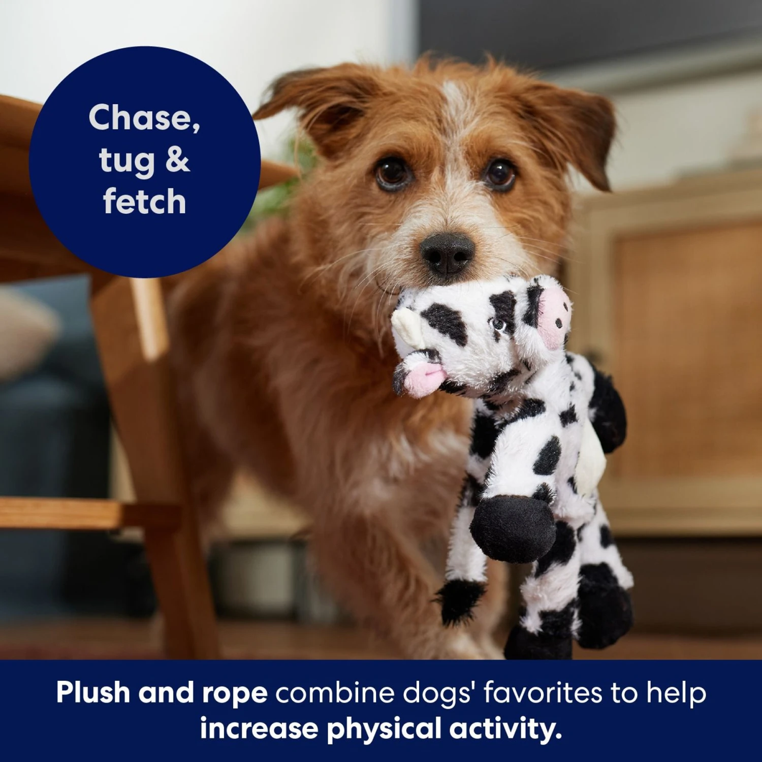 Frisco Cow Plush With Inside Rope Squeaky Dog Toy - Image 5
