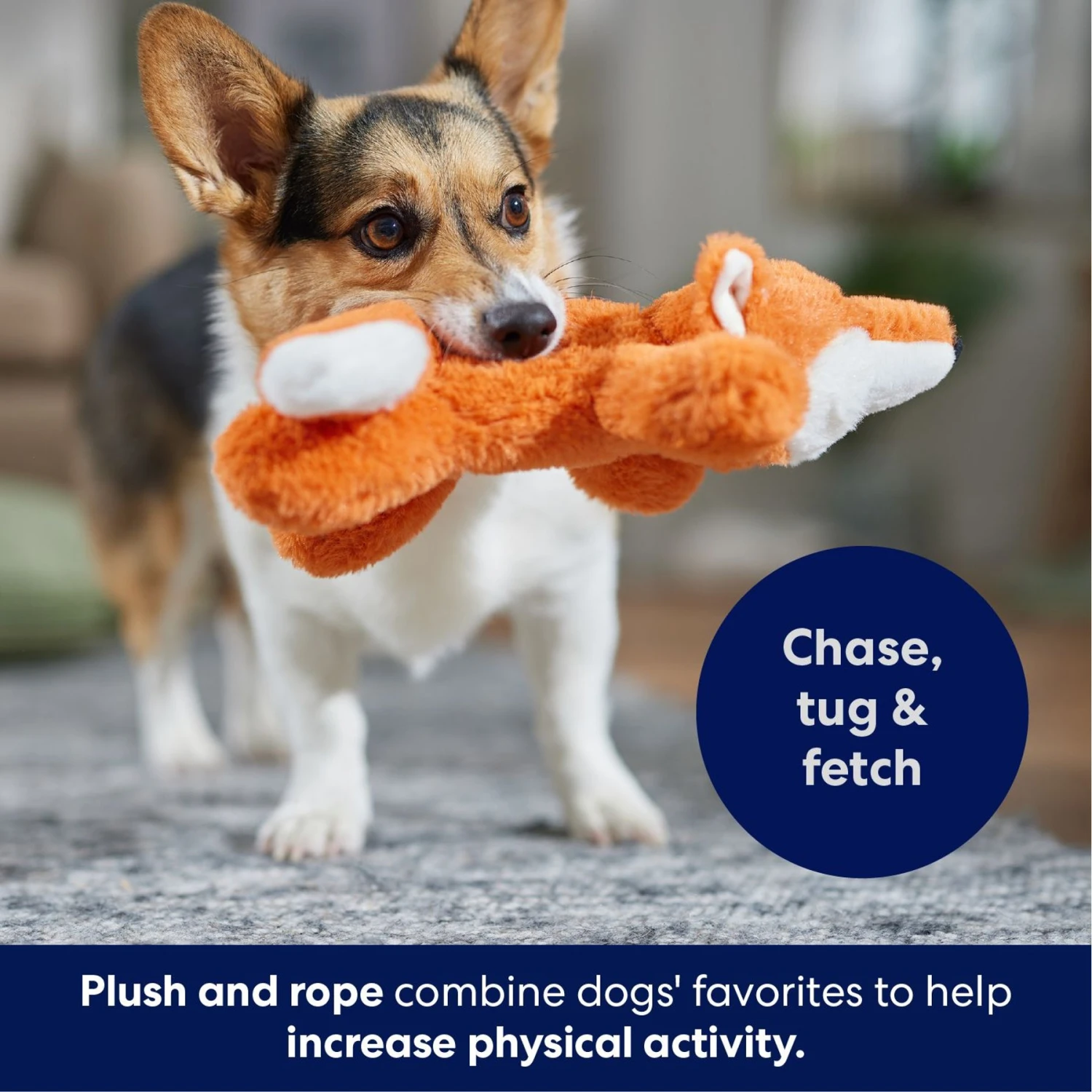 Frisco Fox Plush With Inside Rope Squeaky Dog Toy - Image 5