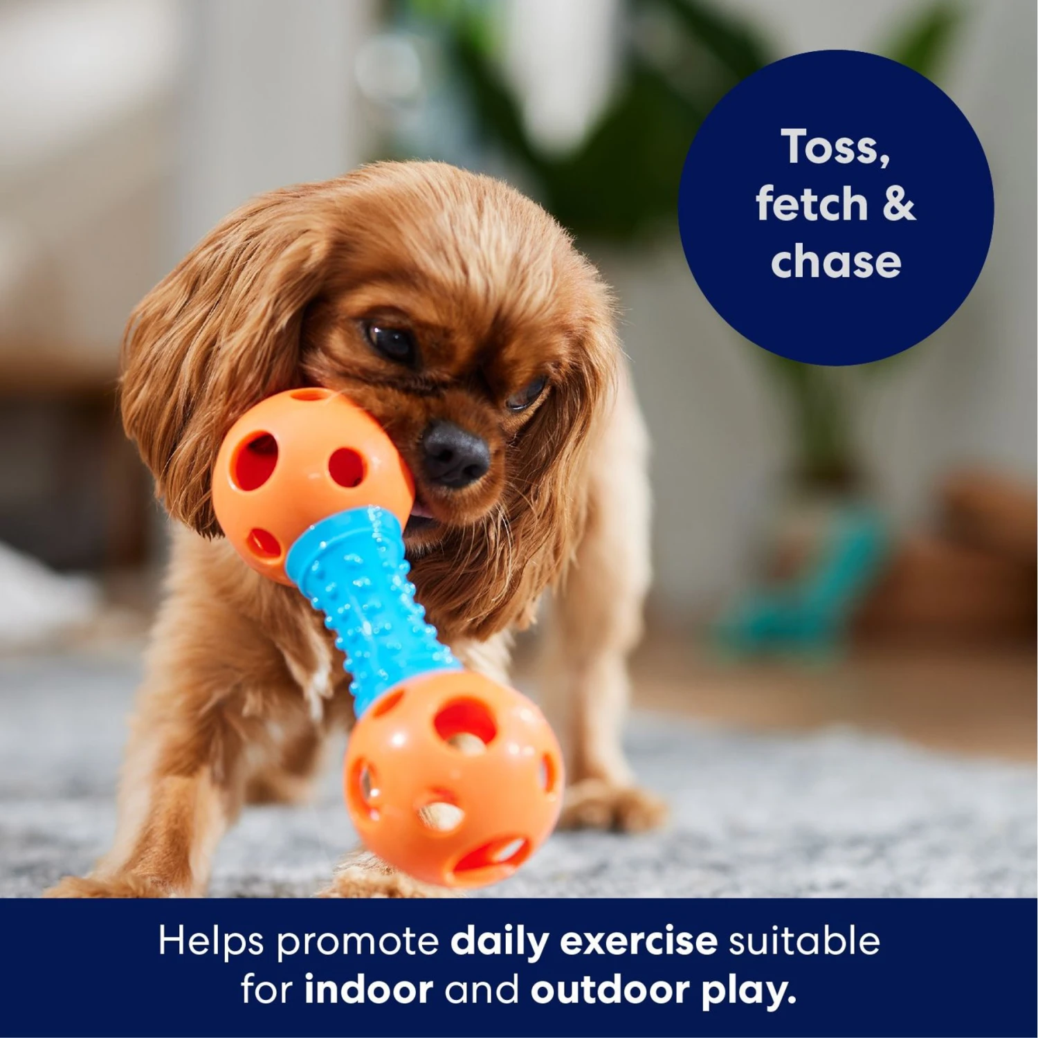 Frisco Dumbbell TPR Fetch Dog Toy - Image 4