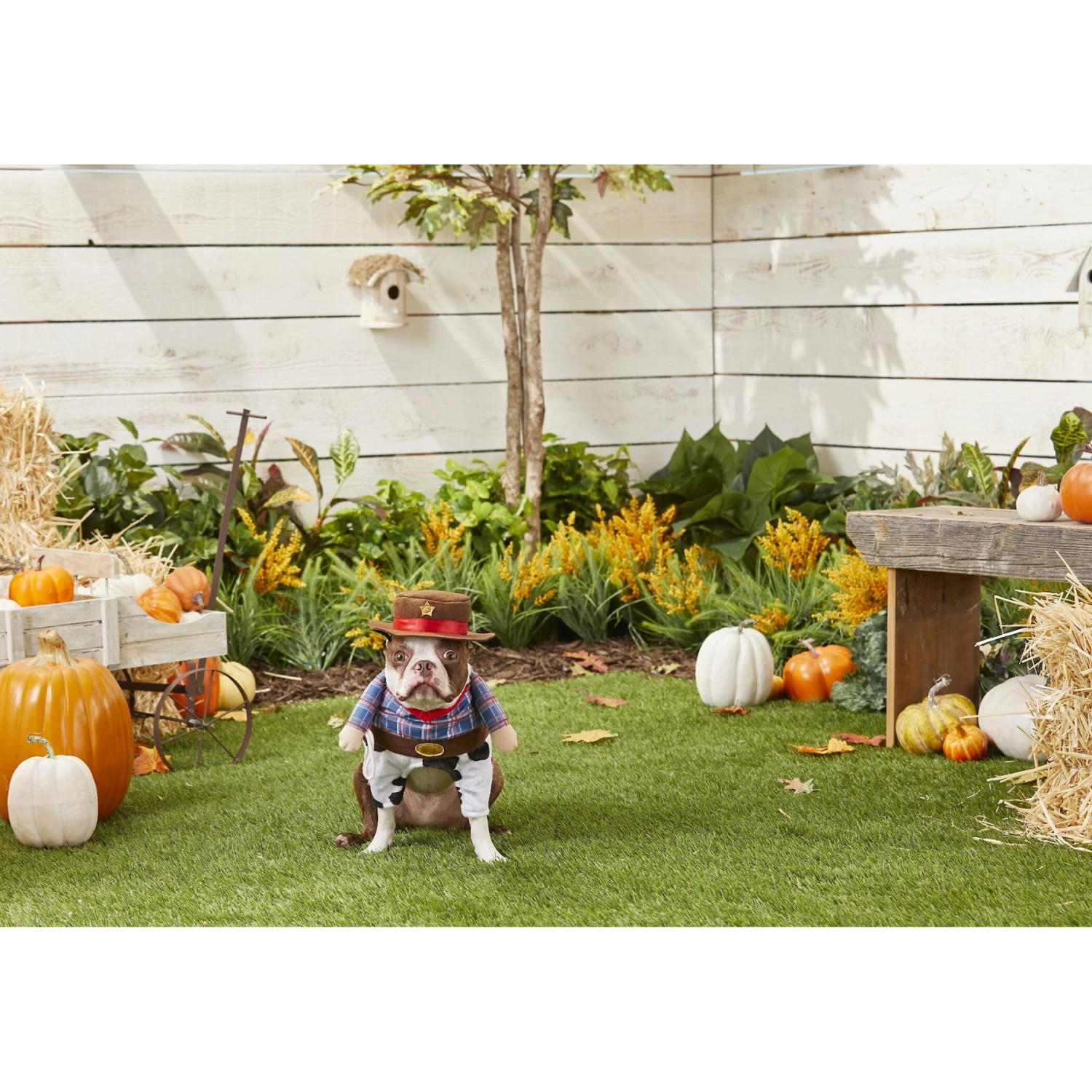 Frisco Front Walking Cowboy Dog & Cat Costume - Image 3