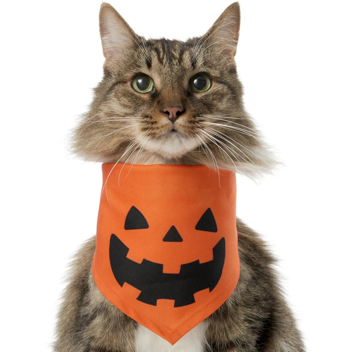 Frisco Jack O' Lantern Pumpkin Dog & Cat Bandana