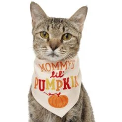 Frisco Mommy's Lil Pumpkin Dog & Cat Bandana