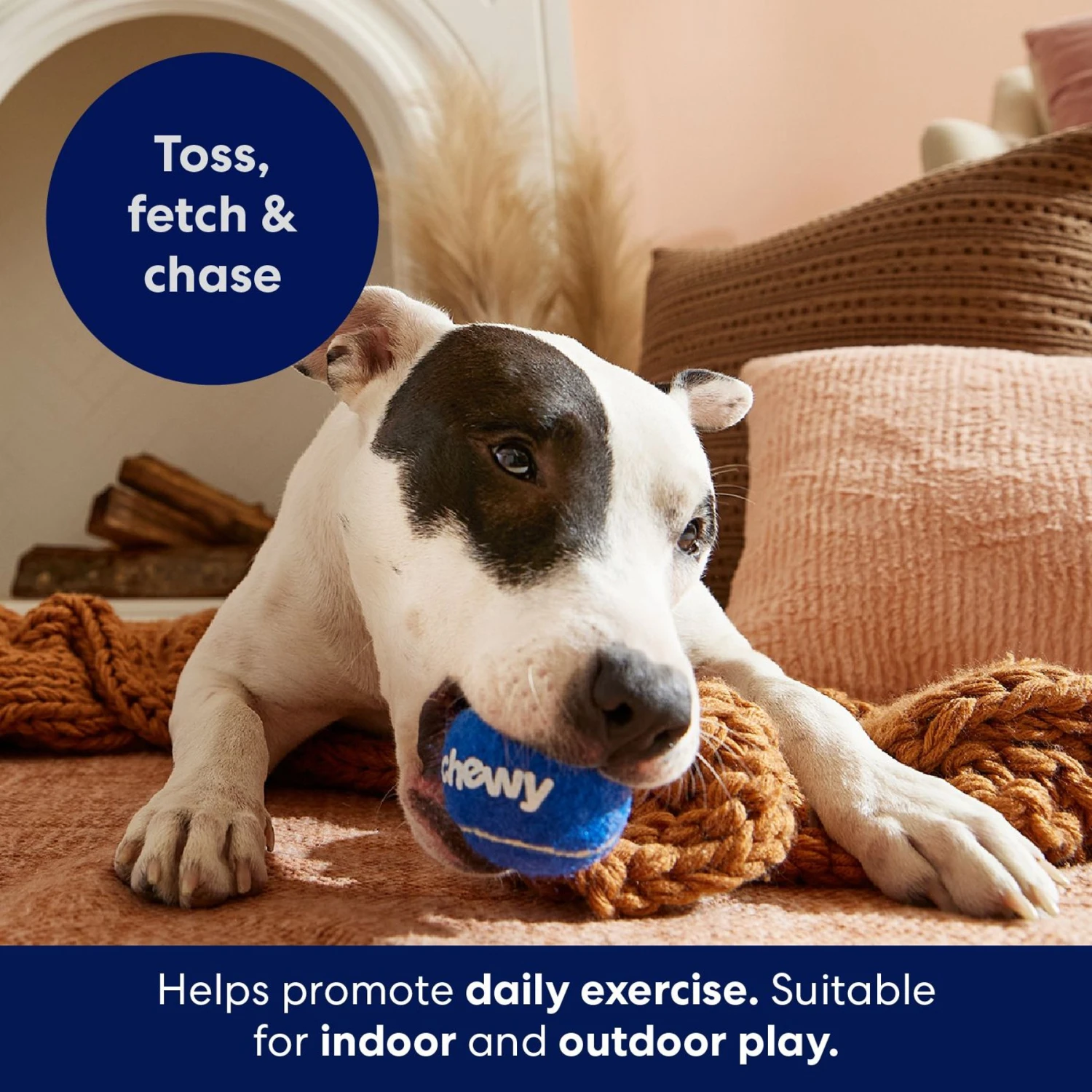 Frisco Chewy Fetch Squeaky Tennis Ball Dog Toy - Image 4