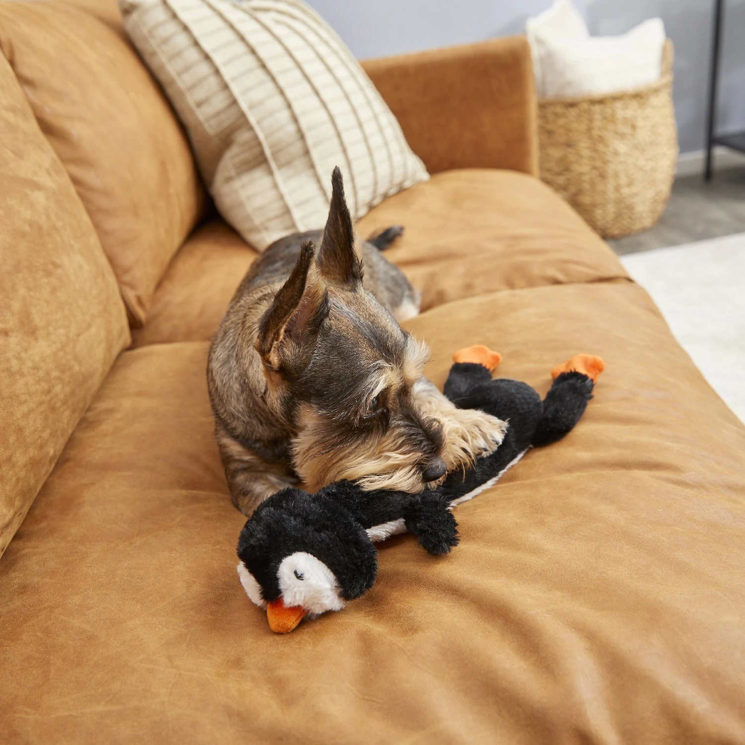 Frisco Penguin Skinny Plush Squeaky Dog Toy - Image 3