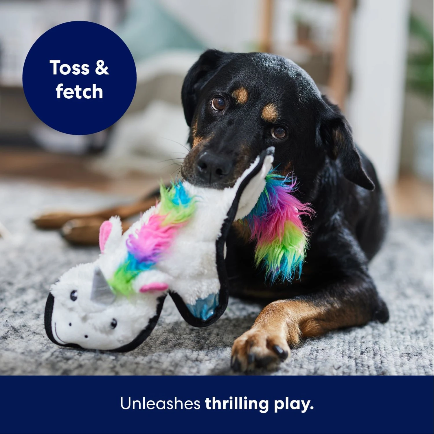 Frisco Unicorn Stuffing-Free Flat Plush Squeaky Dog Toy - Image 5