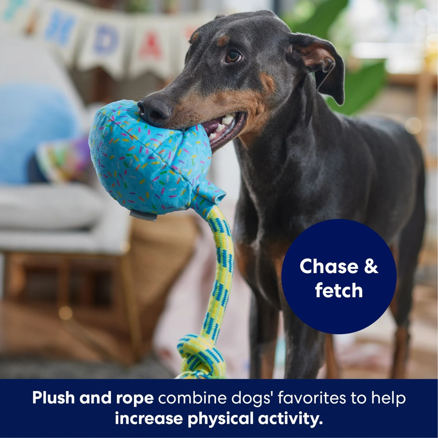 Frisco Birthday Balloon Plush With Rope Squeaky Dog Toy - Image 4