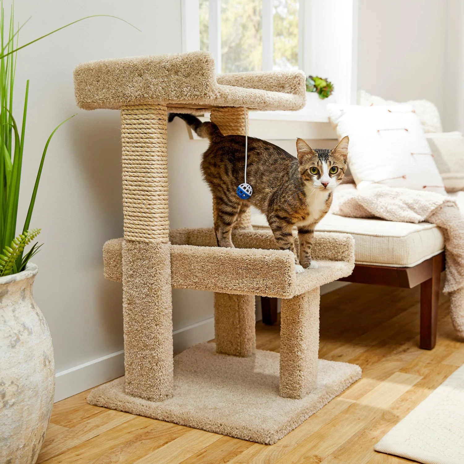 Frisco 32-in Real Carpet Wooden Cat Tree With Toy