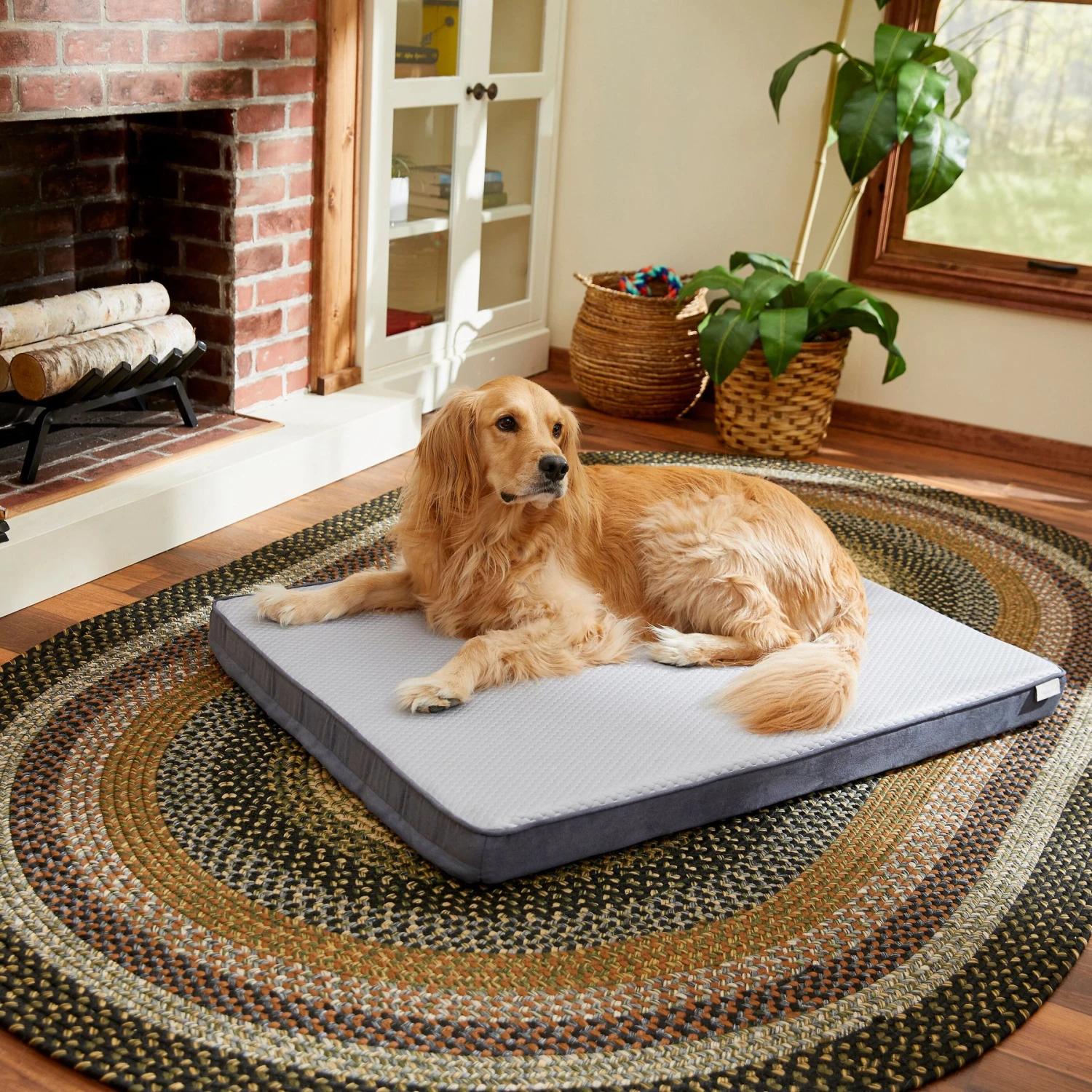 Frisco Cooling Orthopedic Pillow Dog Bed W/Removable Cover