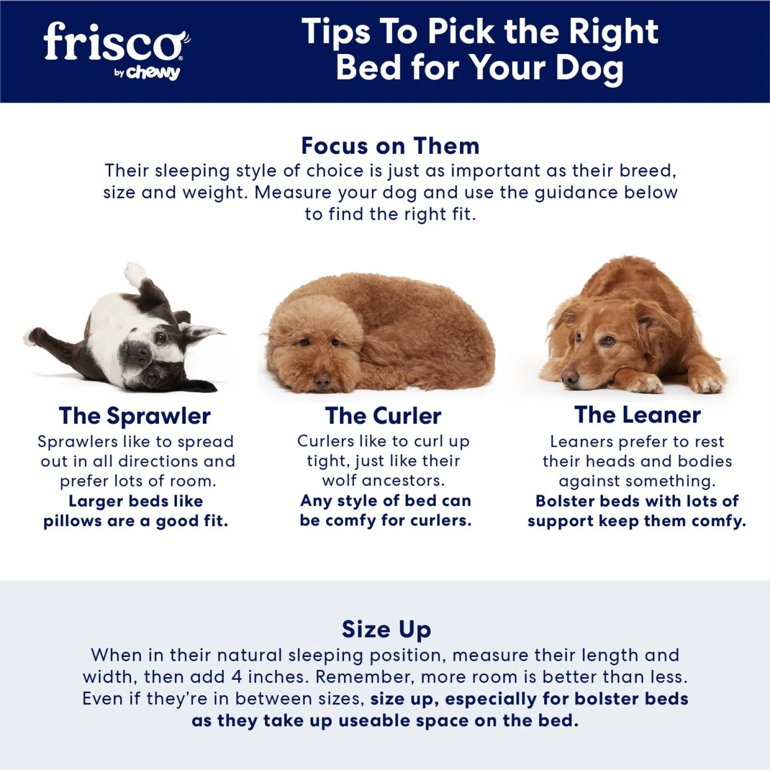 Frisco Cooling Orthopedic Pillow Dog Bed W/Removable Cover - Image 5