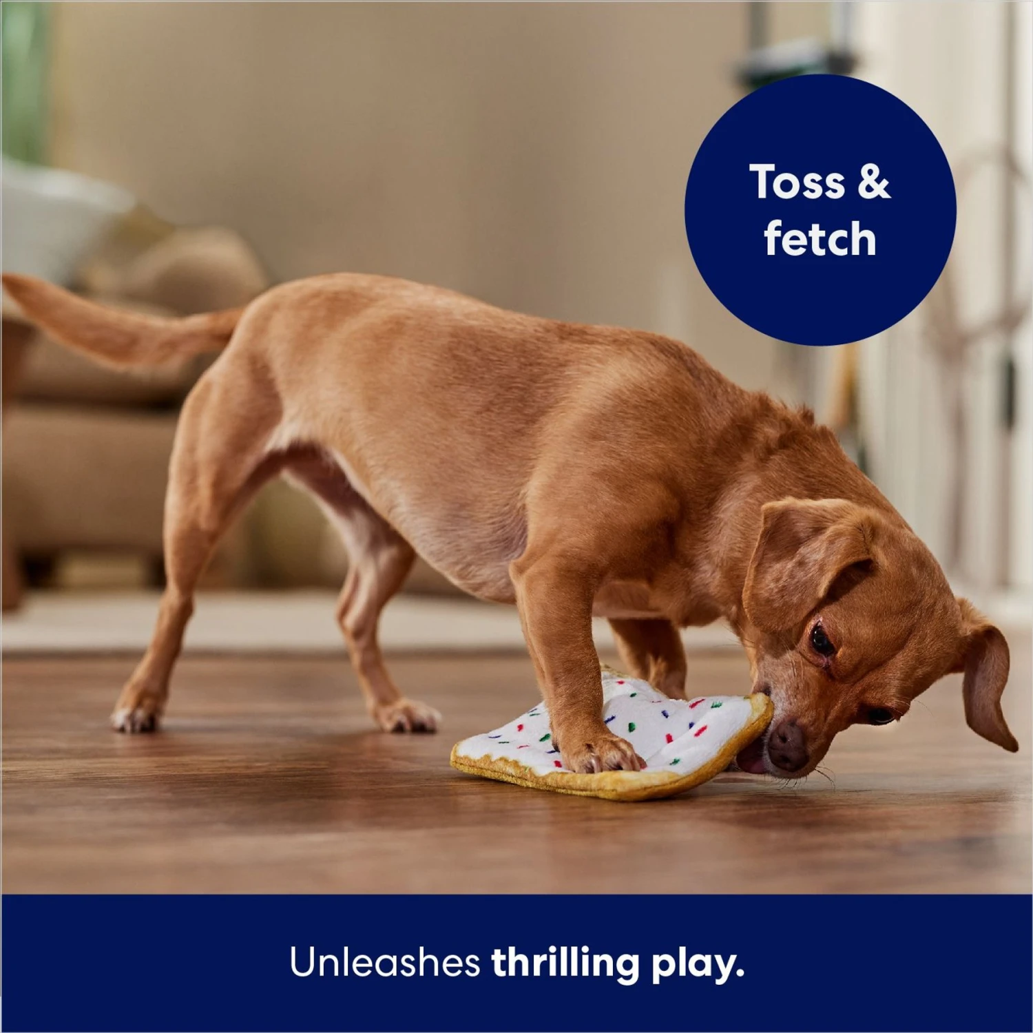 Frisco Frosted Pastry Stuffing-Free Flat Plush Squeaky Dog Toy - Image 5