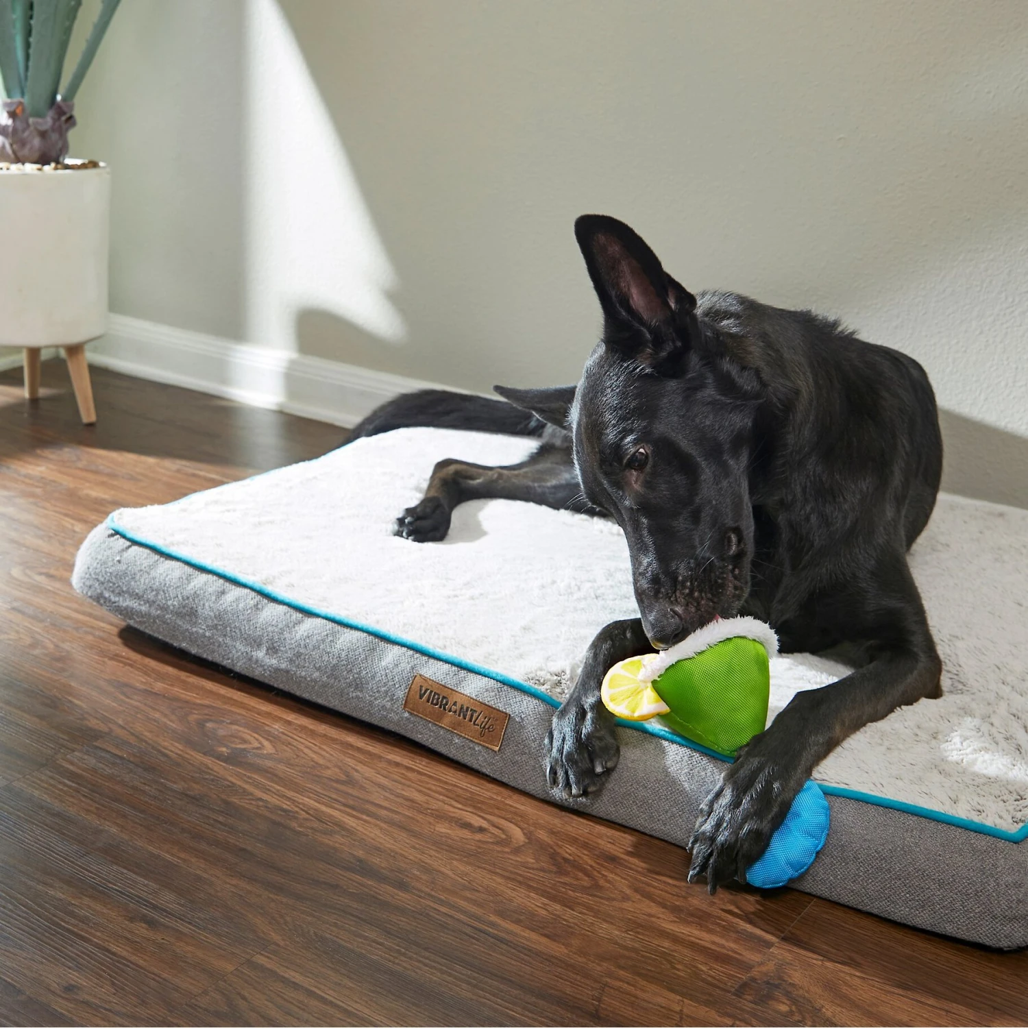 Frisco Summer Fun Margarita Plush & Rope Dog Toy - Image 2