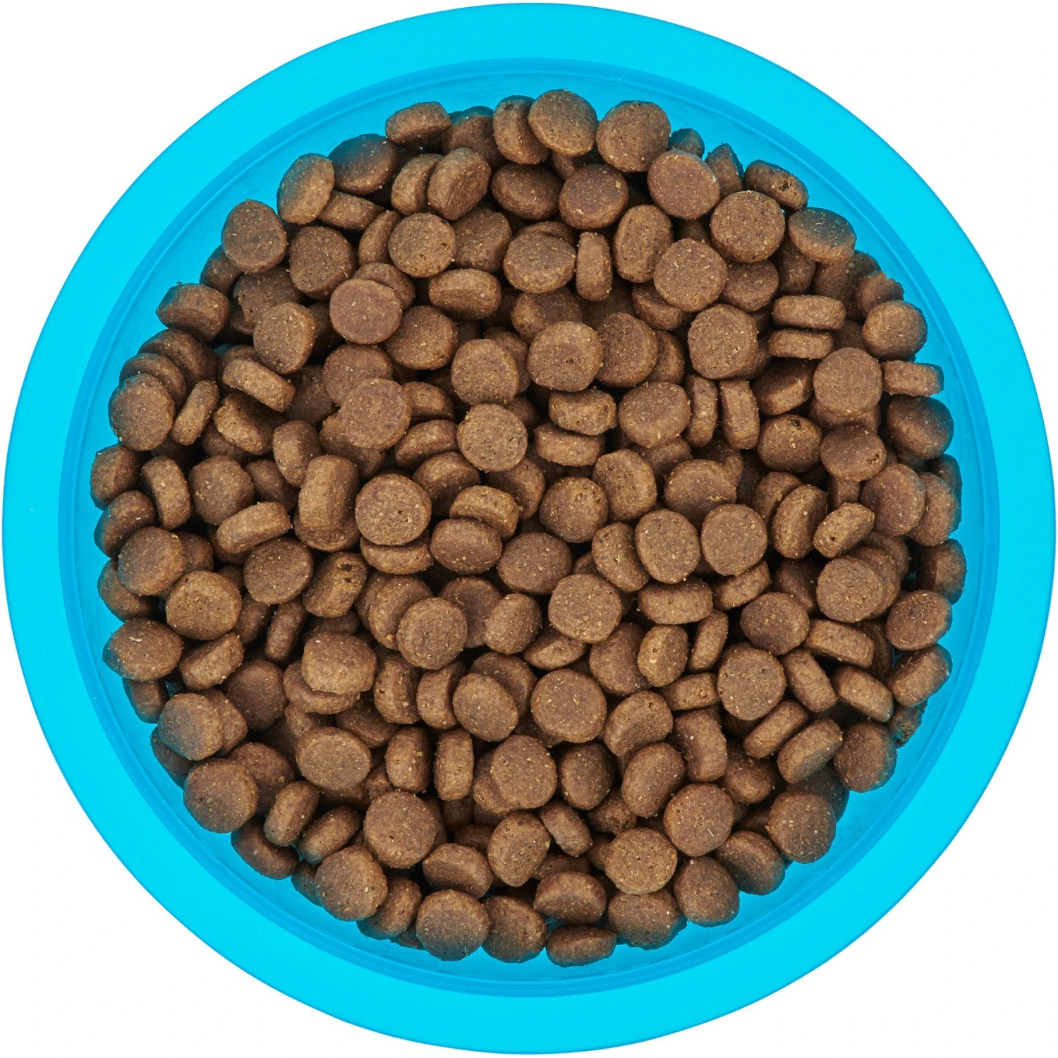 Frisco Plastic Suction Bowl, Blue - Image 5