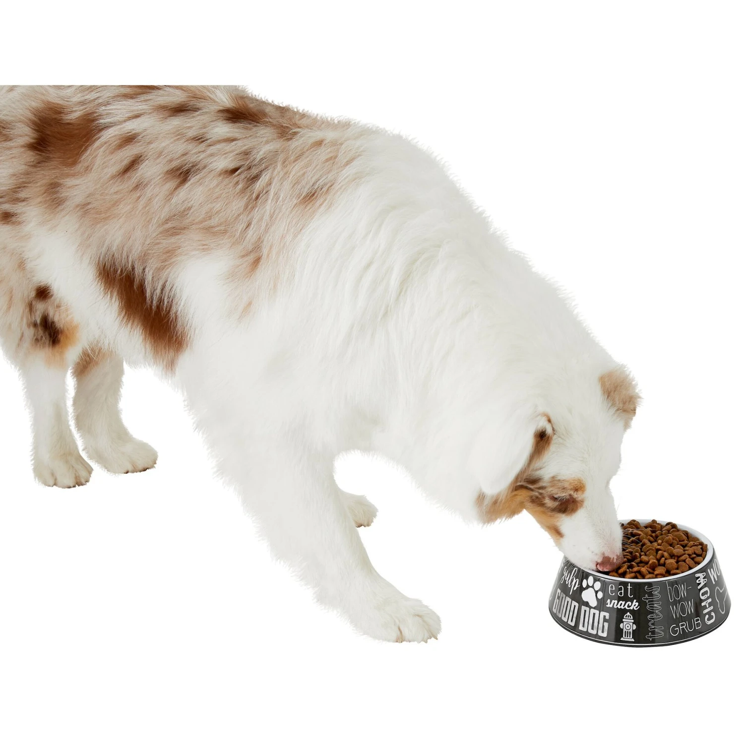 Frisco Doggie Melamine Bowl - Image 6