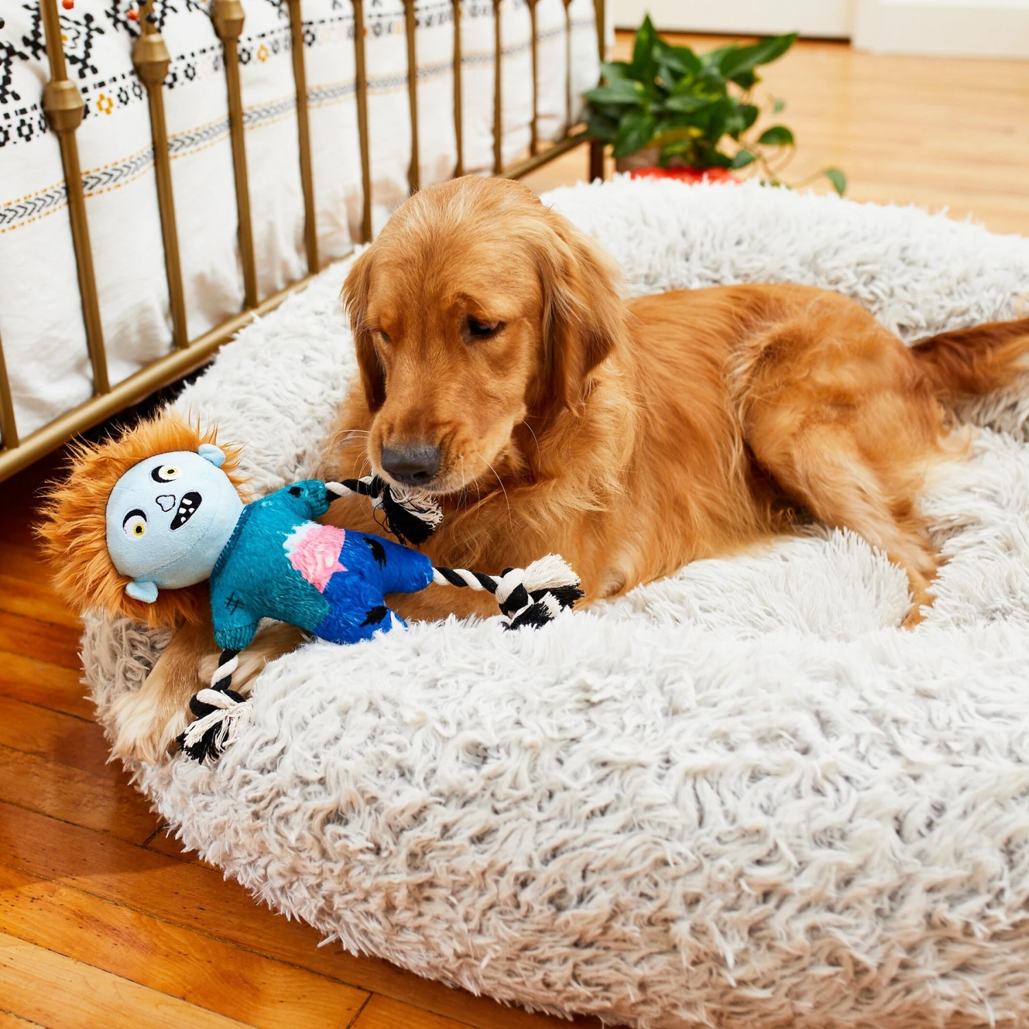 Frisco Zombie Boy Plush With Rope Squeaky Dog Toy - Image 3