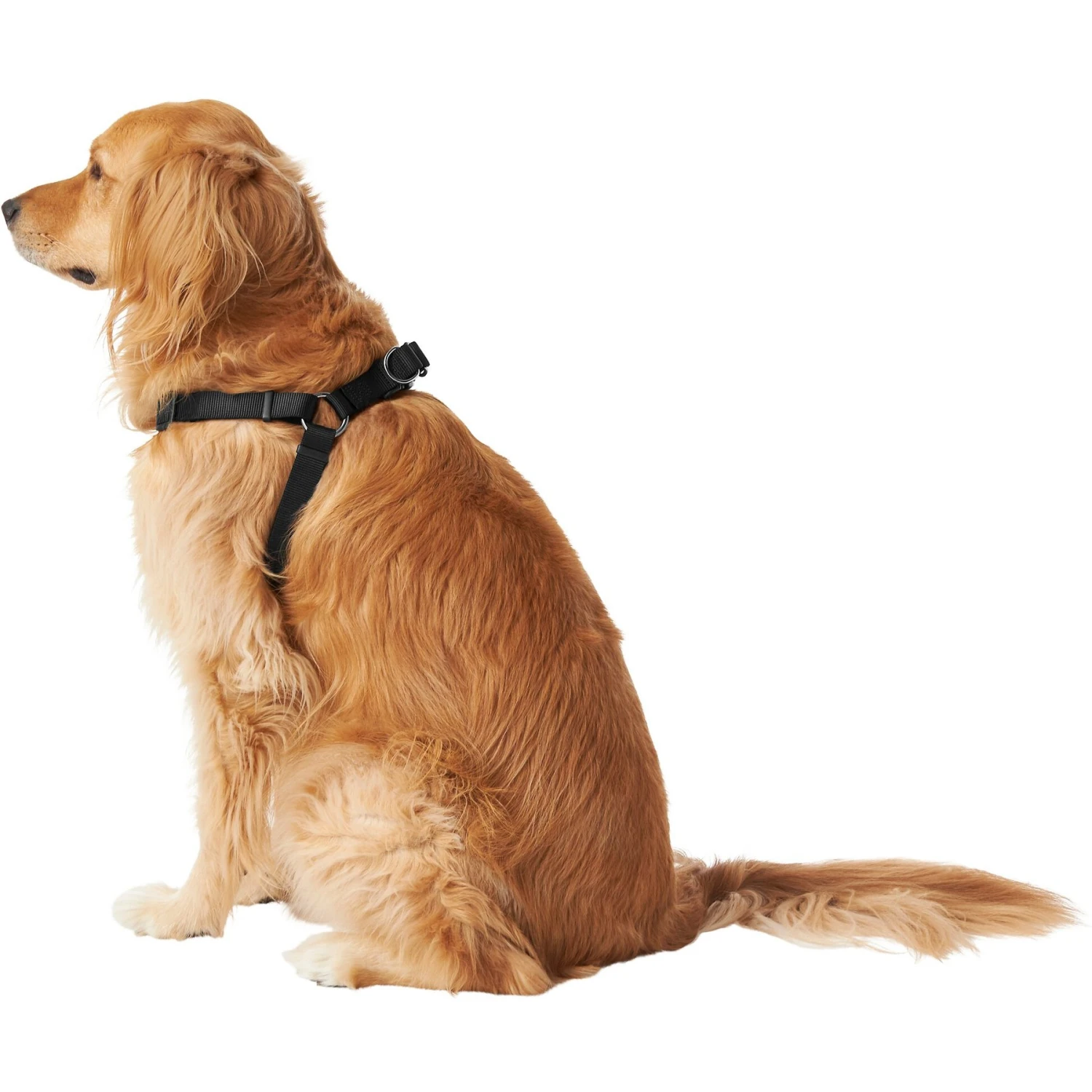 Frisco Nylon Step In Back Clip Dog Harness - Image 4