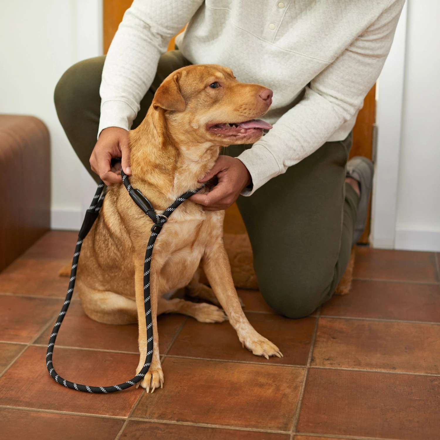 Frisco Reflective Rope Slip Lead Dog Leash - Image 5