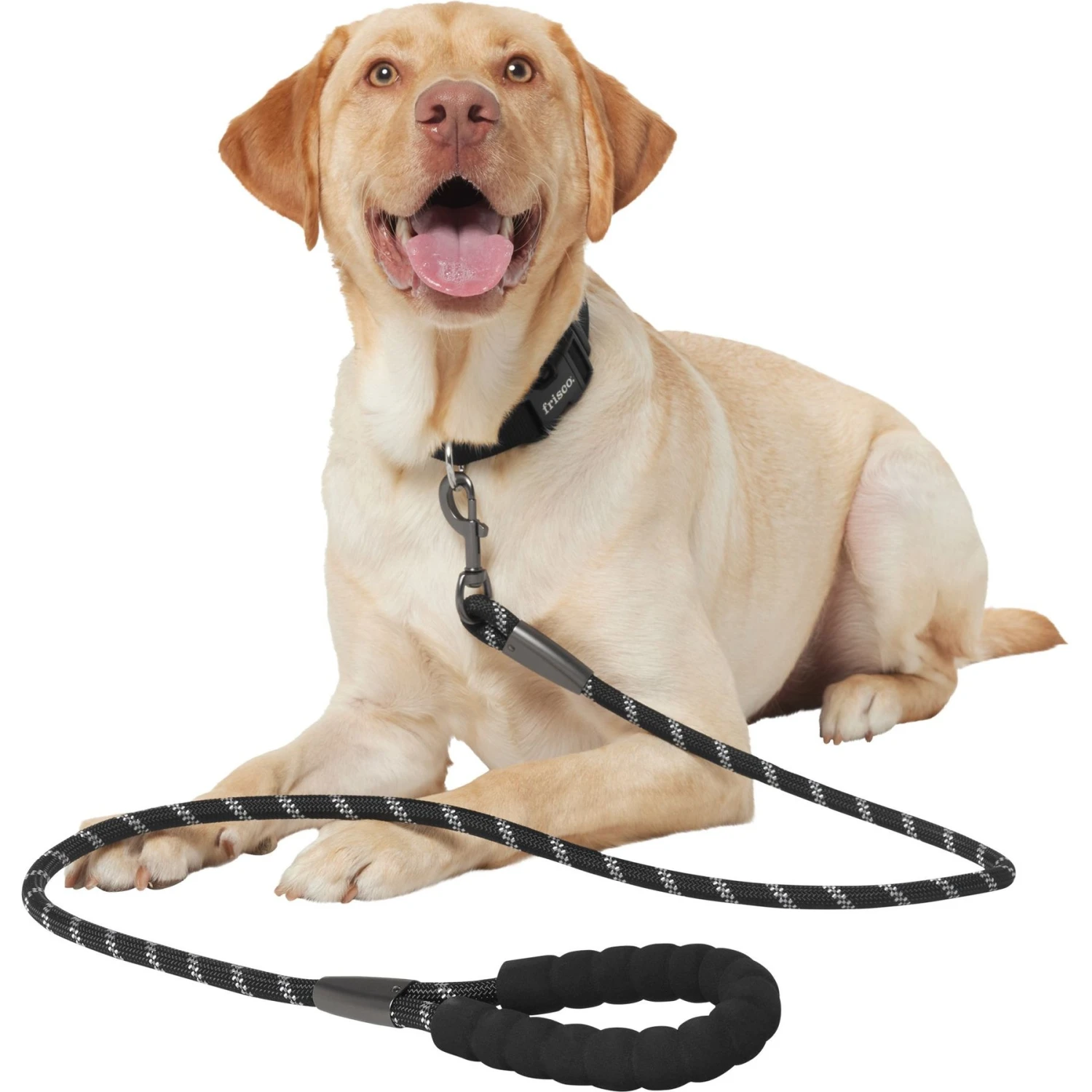 Frisco Rope Dog Leash With Padded Handle - Image 4
