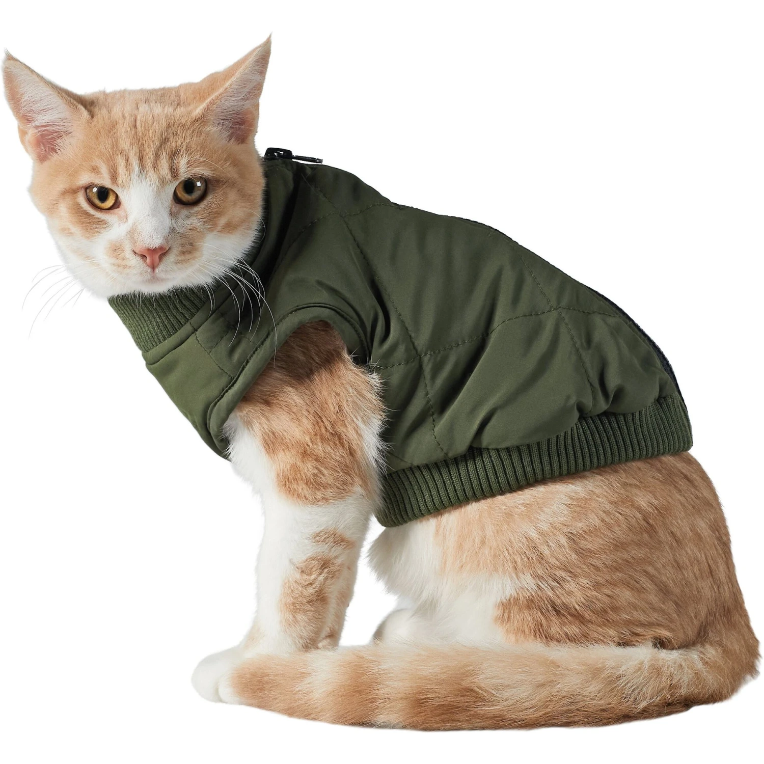 Frisco Lightweight Insulated Bomber Dog & Cat Jacket - Image 3