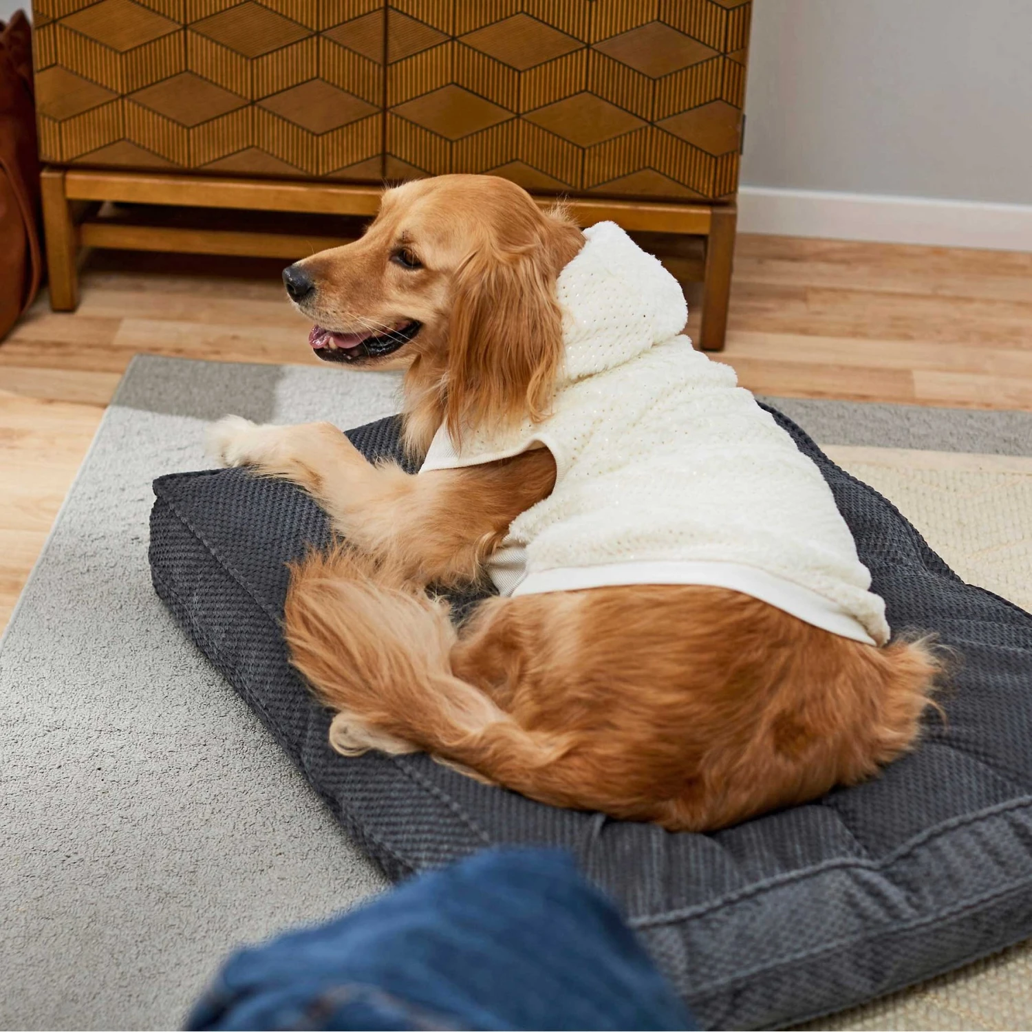 Frisco Plush Fur Dog & Cat Hoodie - Image 8