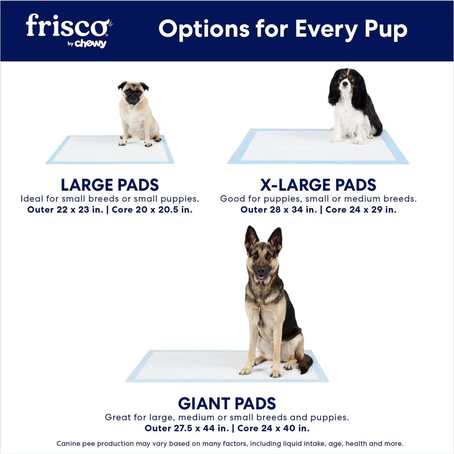 Frisco Extra Large Charcoal Dog Training & Potty Pads - Image 4