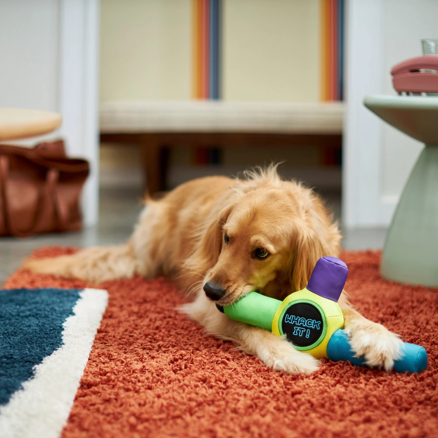 Frisco Retro Whack It! Ballistic Nylon Plush Squeaky Dog Toy - Image 3