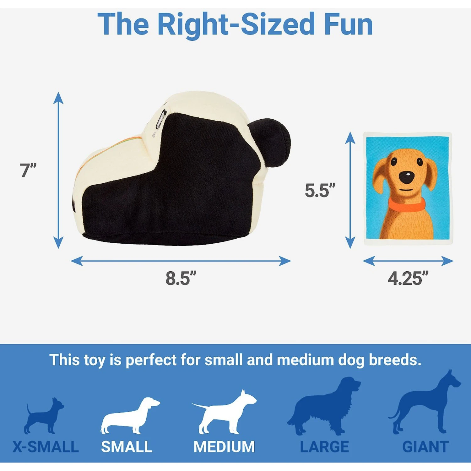 Frisco Retro Camera 2-in-1 Rip For Surprise Plush Squeaky Dog Toy - Image 2