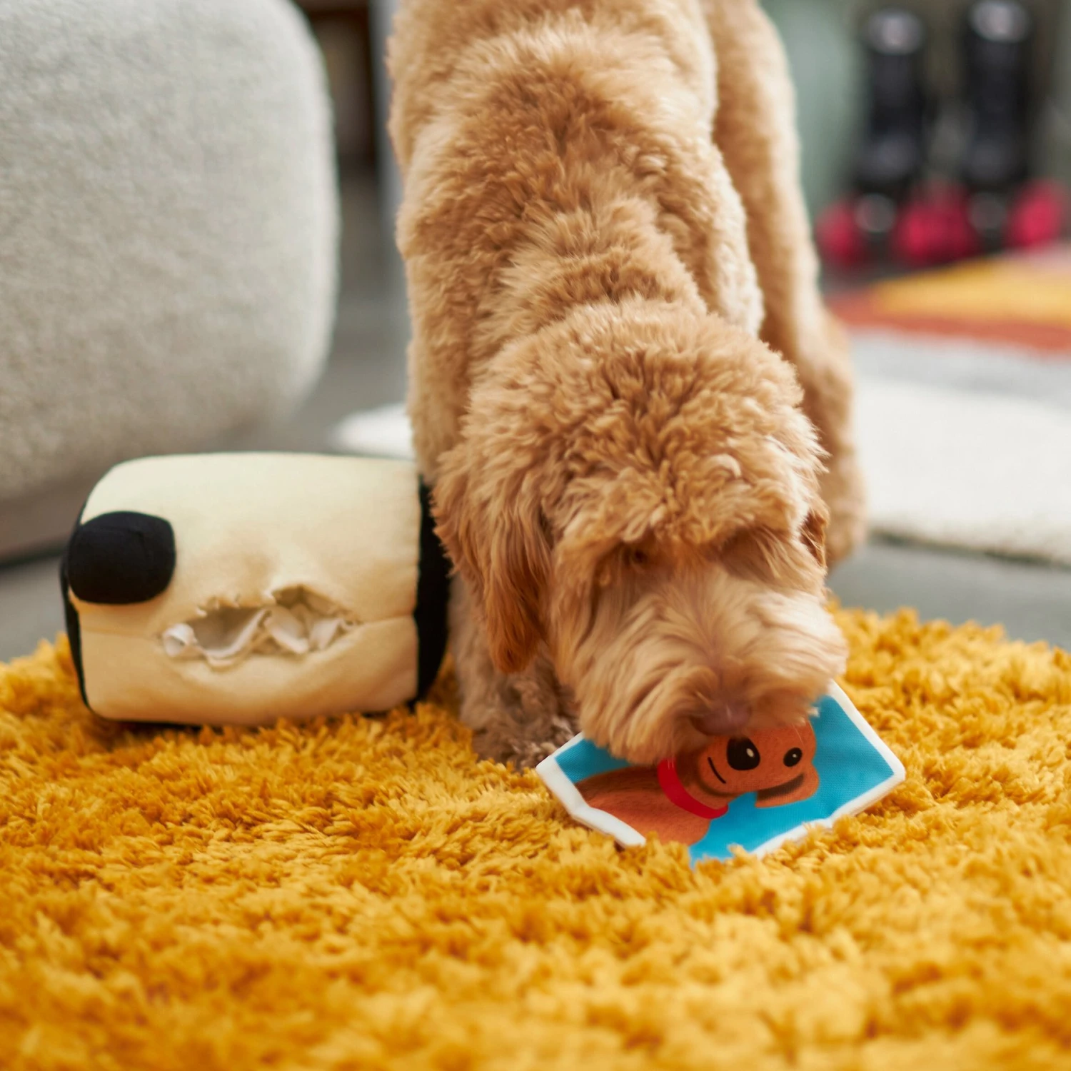 Frisco Retro Camera 2-in-1 Rip For Surprise Plush Squeaky Dog Toy - Image 3