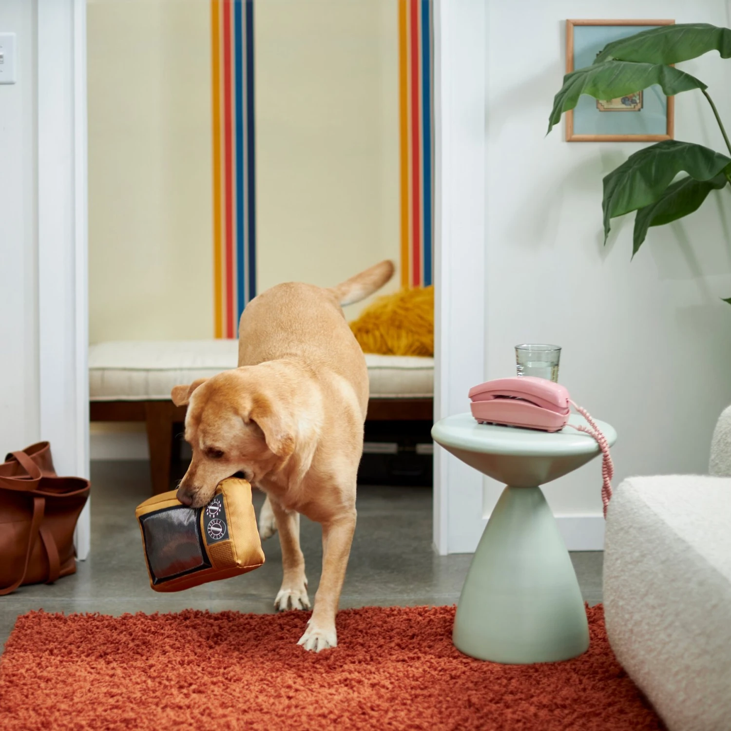 Frisco Retro Television Ballistic Nylon Plush Squeaky Dog Toy - Image 3