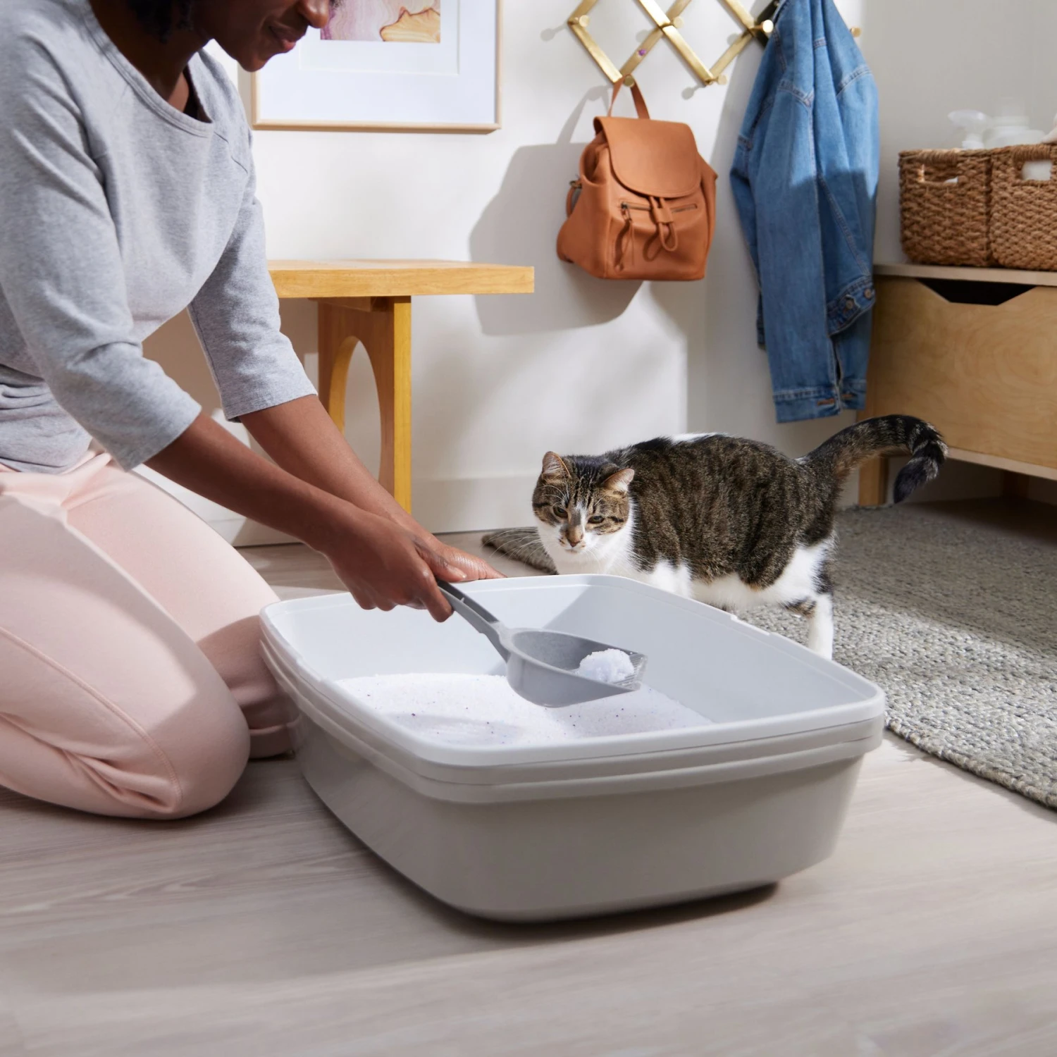 Frisco Micro Crystal Unscented Clumping Crystal Cat Litter - Image 5