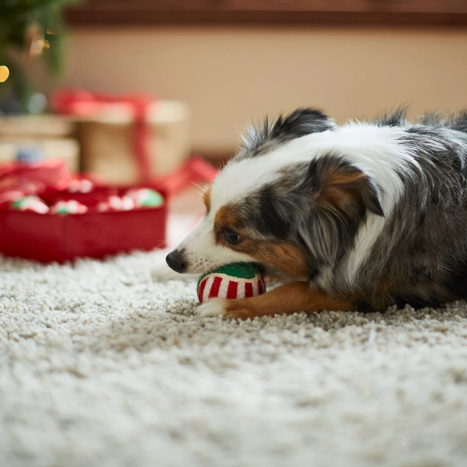 Frisco Holiday Wreath Fetch Squeaky Tennis Ball Dog Toy - Image 4