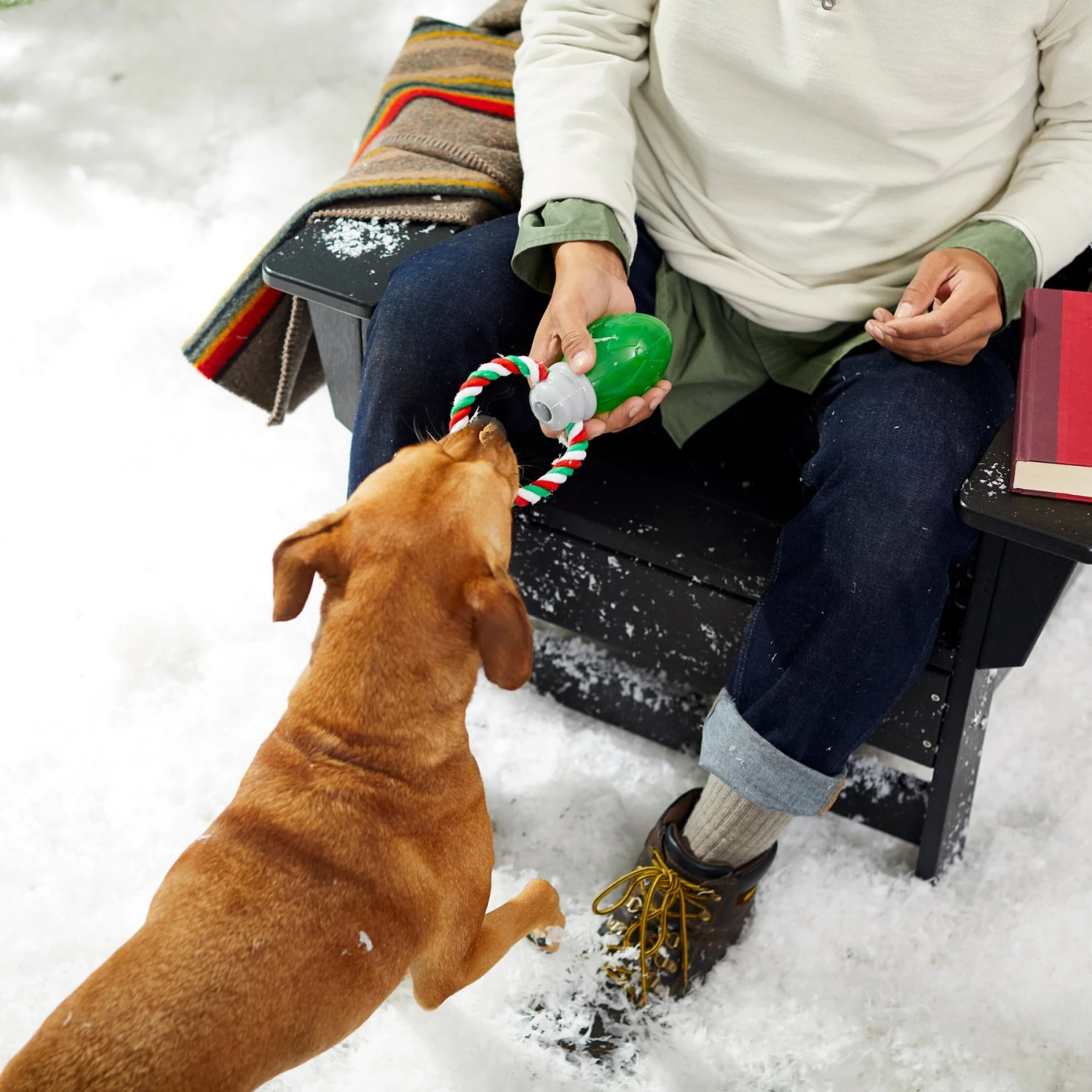 Frisco Holiday Christmas Light Rope With TPR Squeaky Dog Toy - Image 3