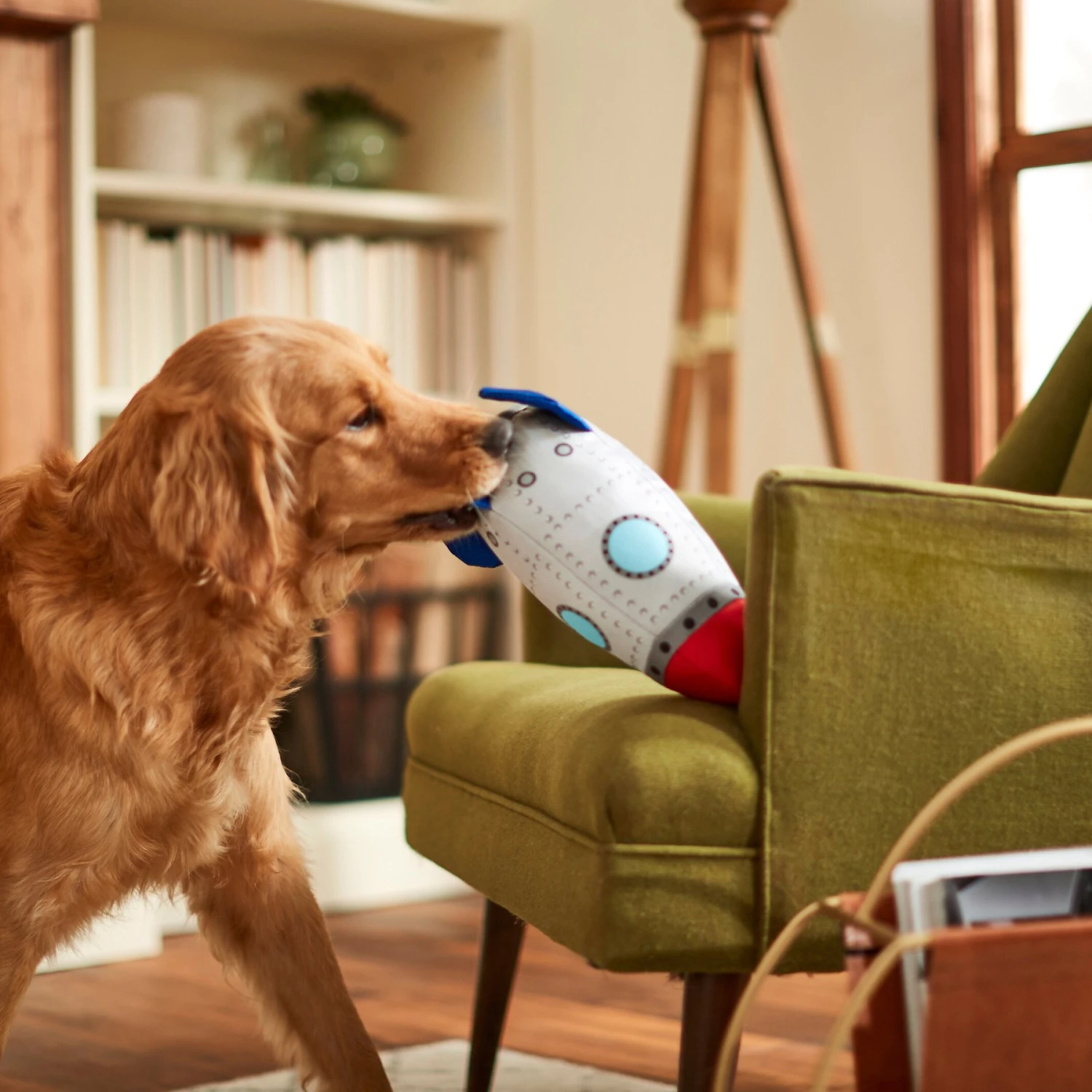 Frisco Ballistic Nylon Plush Squeaky Rocket Ship Dog Toy - Image 3