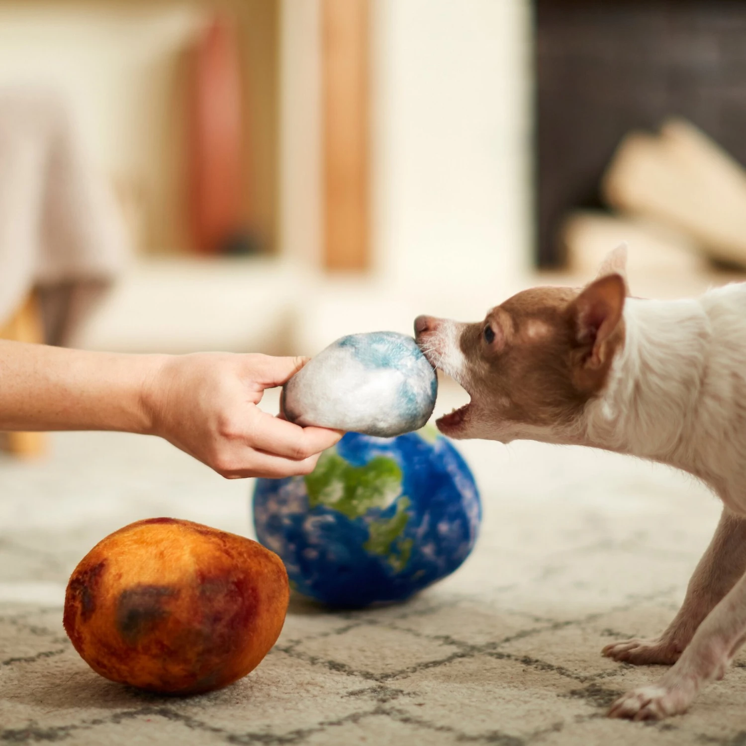 Frisco Earth, Mars, And Moon Plush Squeaky Dog Toy - Image 3