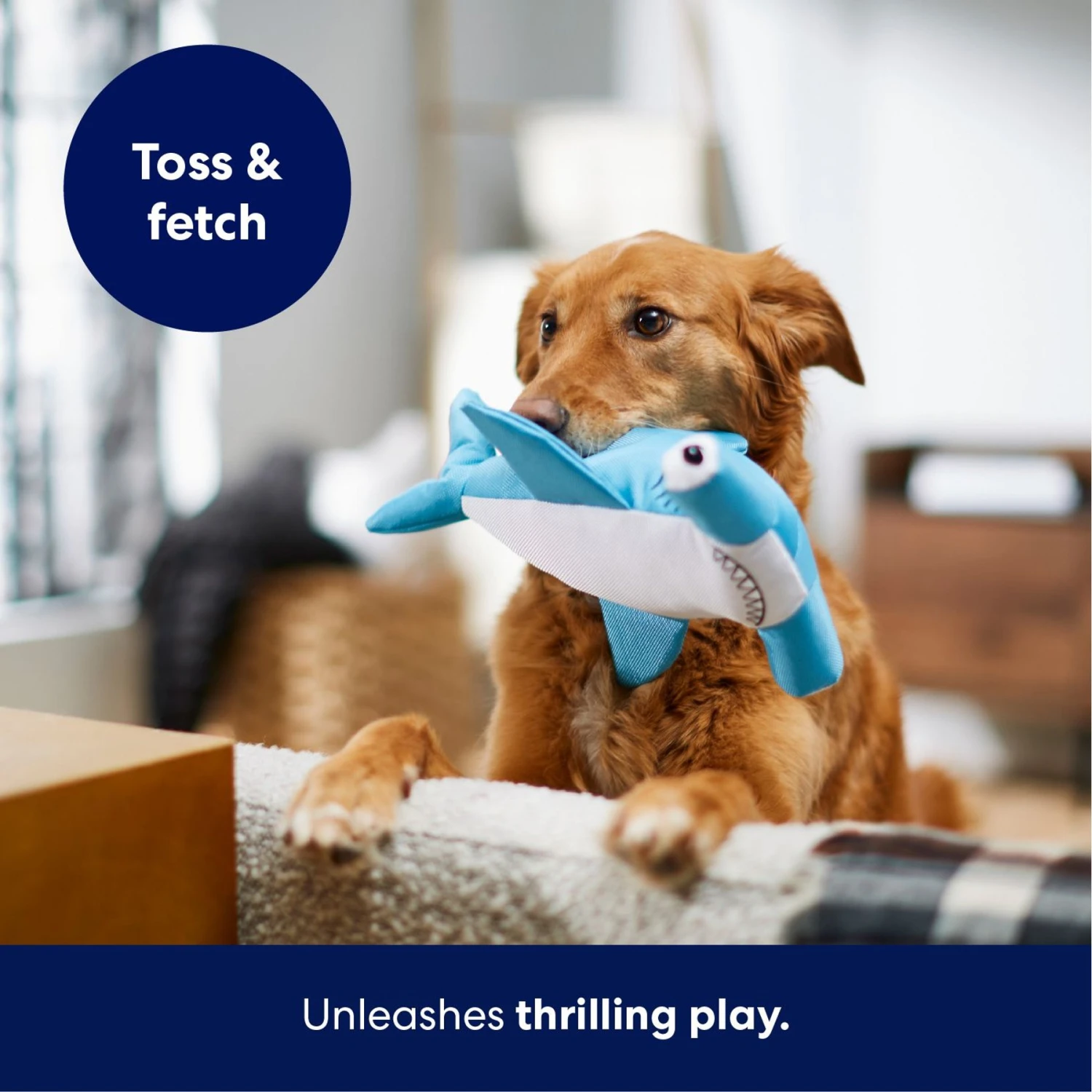 Frisco Hammerhead Shark Ballistic Nylon Plush Squeaky Dog Toy - Image 5