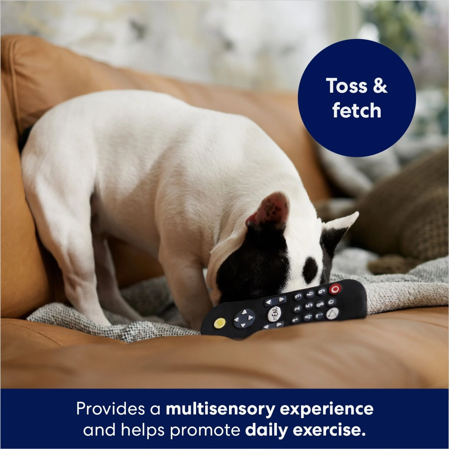 Frisco Zoomies & Chill Remote Latex Squeaky Dog Toy - Image 4