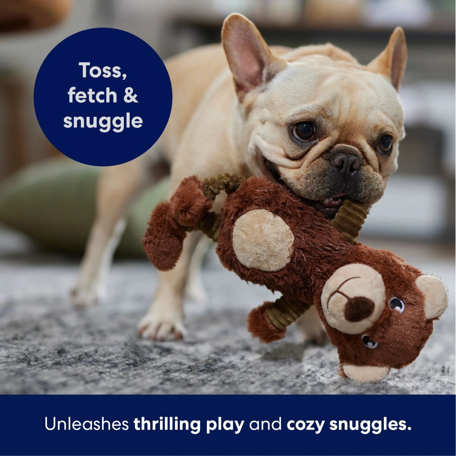 Frisco Bear Plush Squeaky Dog Toy - Image 5