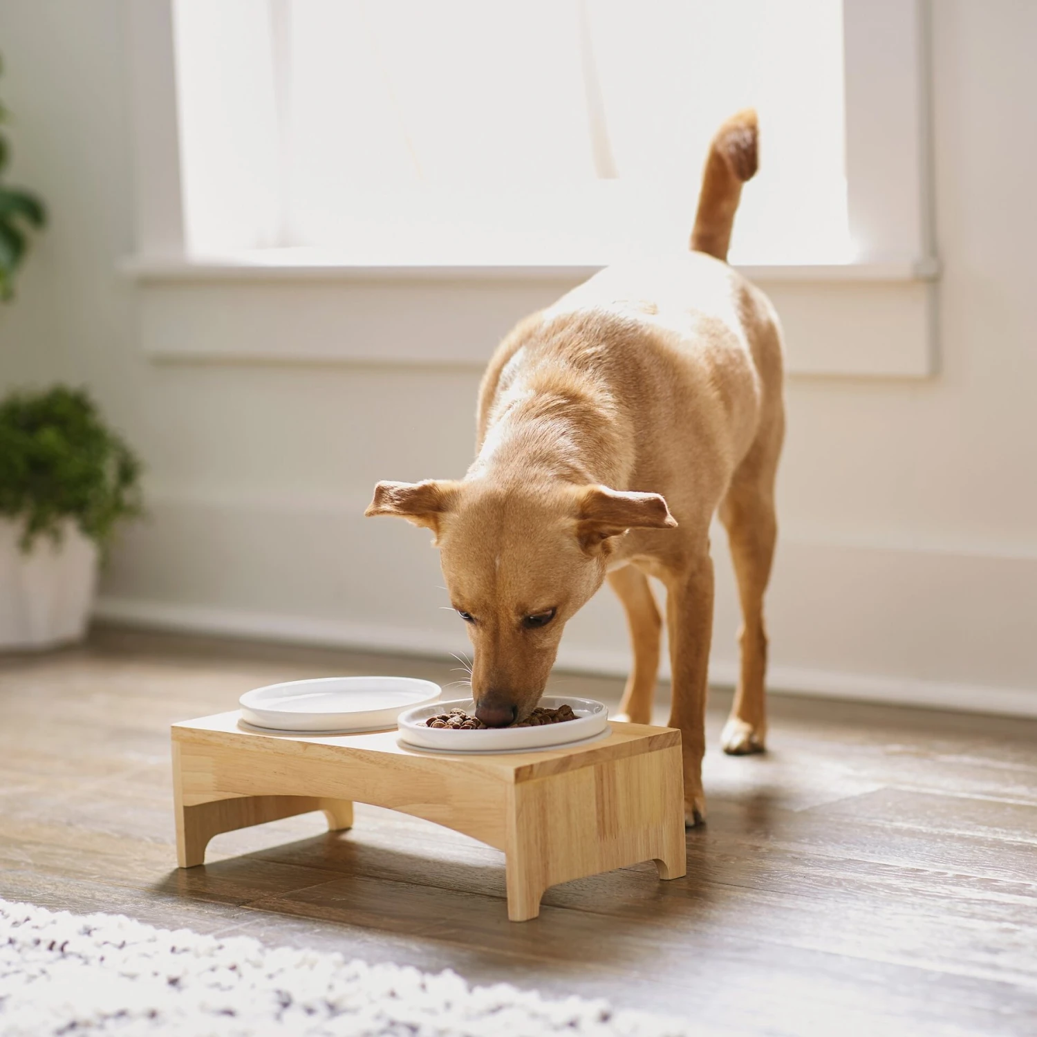 Frisco Ceramic Dog & Cat Double Diner With Elevated Wood Stand - Image 3