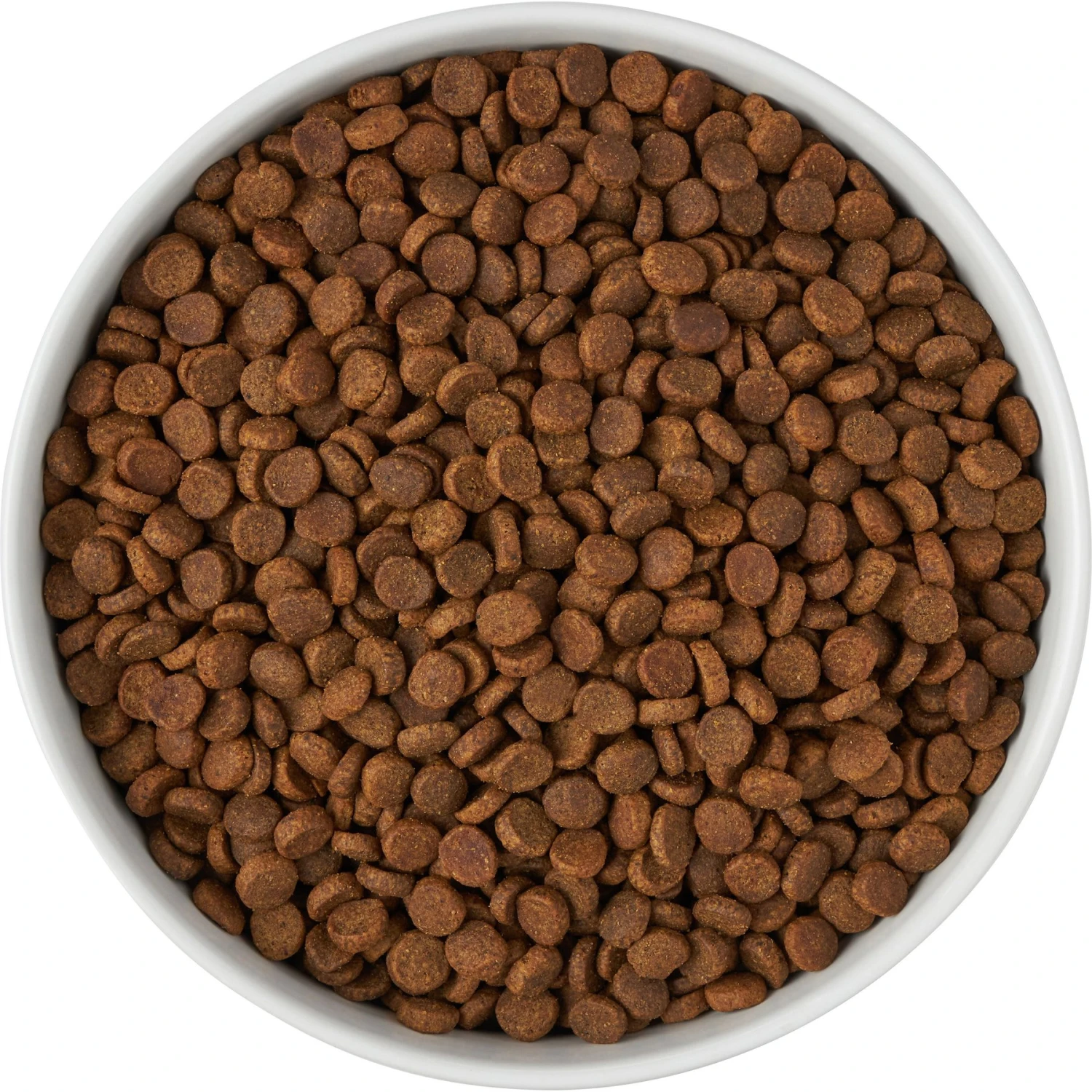 Frisco Paw Prints Non-skid Ceramic Bowl - Image 6