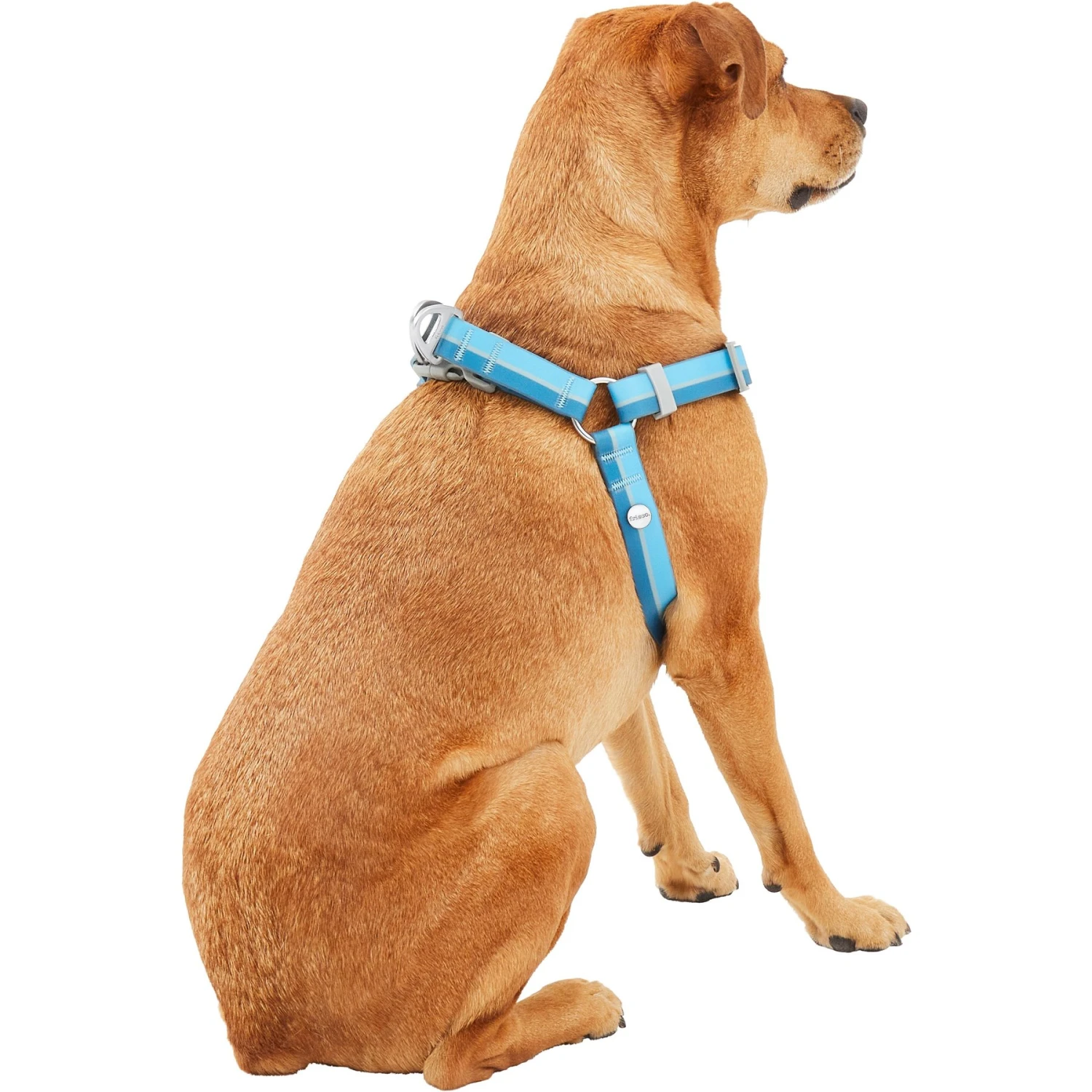 Frisco Outdoor Two Tone Waterproof Stinkproof PVC Dog Harness - Image 4