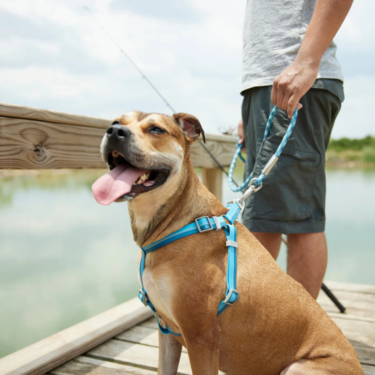 Frisco Outdoor Two Tone Waterproof Stinkproof PVC Dog Harness - Image 5