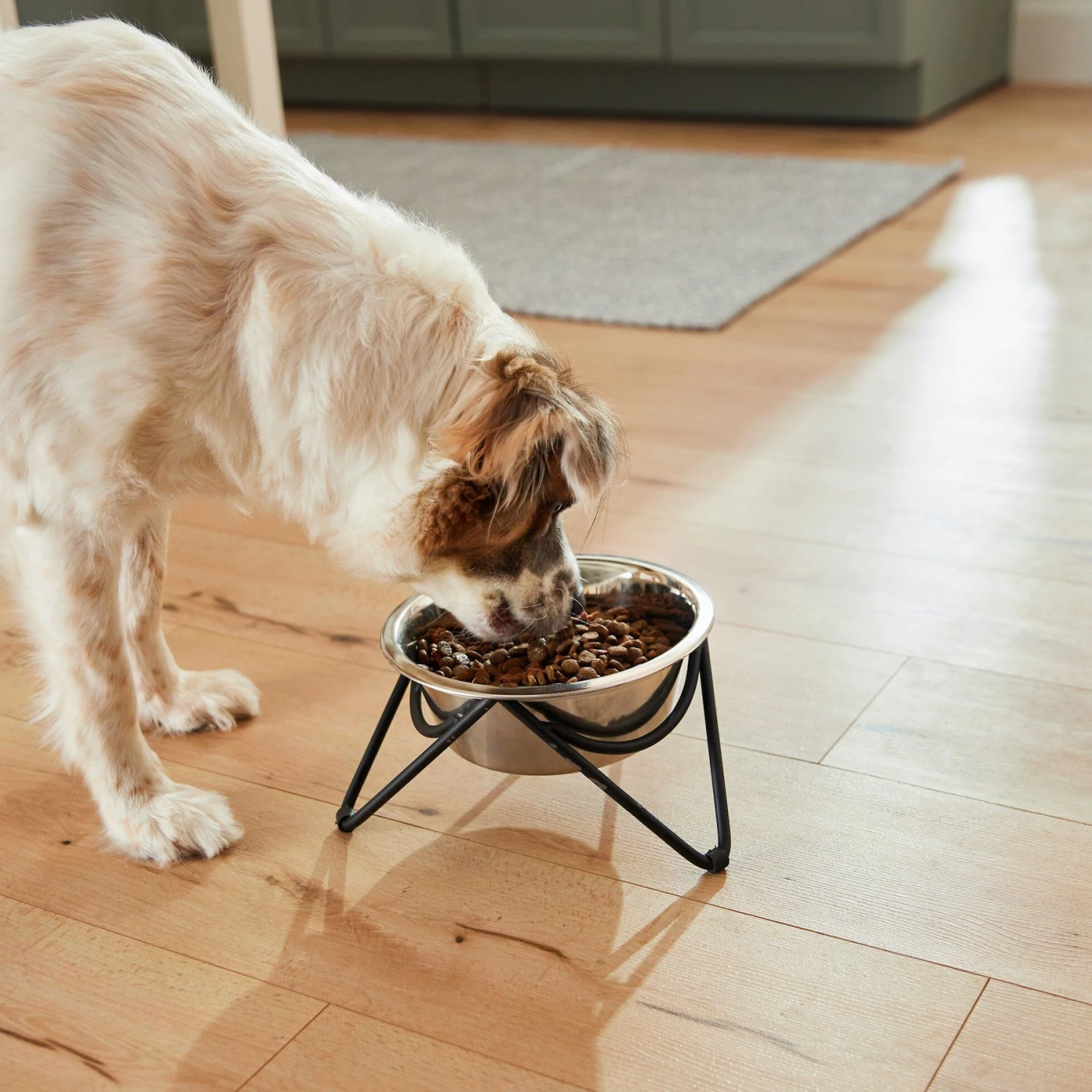 Frisco Triangle Iron Non-Skid Elevated Dog & Cat Bowl - Image 6