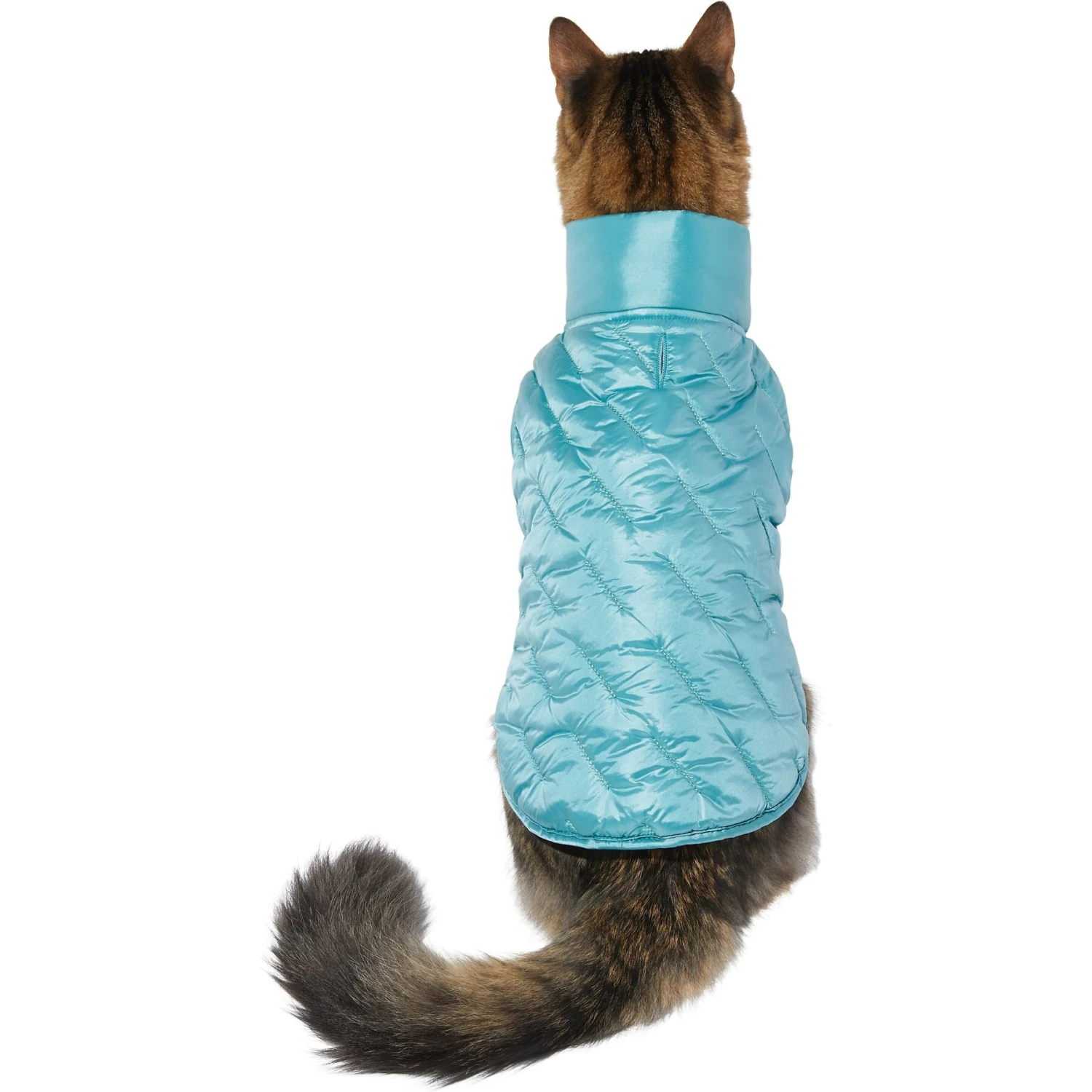 Frisco Lightweight Packable Insulated Dog & Cat Quilted Puffer Coat, Ocean Teal - Image 3