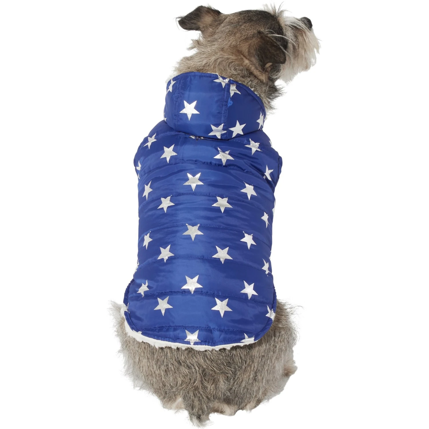 Frisco Mediumweight Metallic Star Print Insulated Dog & Cat Parka, Navy