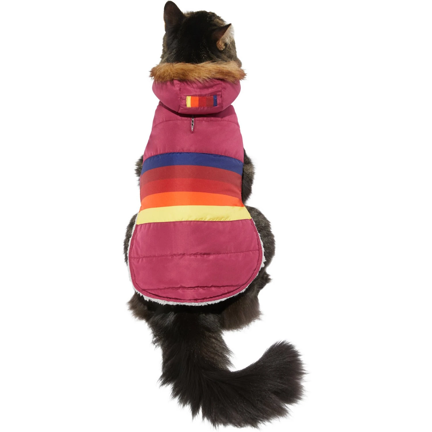 Frisco Mediumweight Colorblock Adventure Insulated Dog & Cat Parka - Image 3