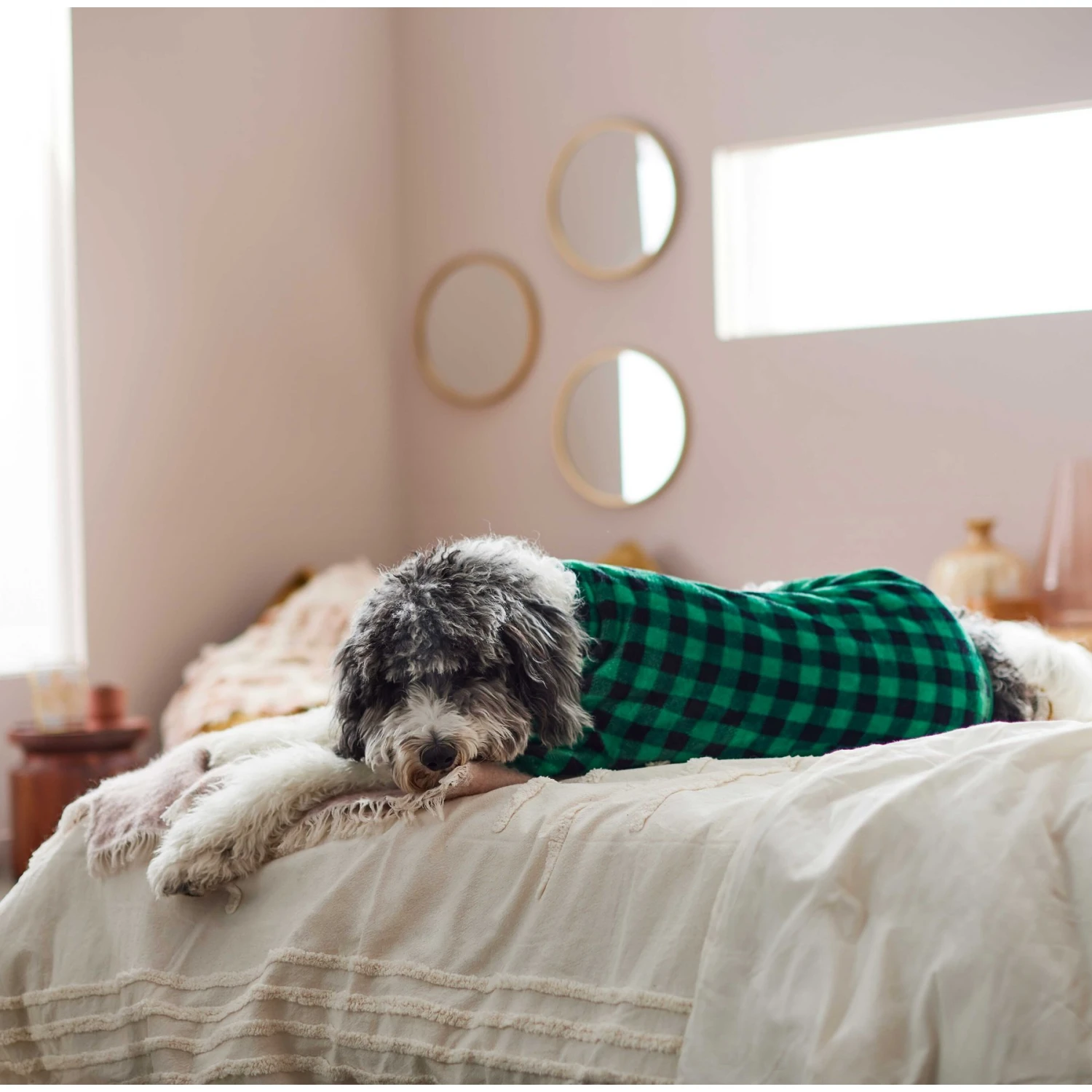 Frisco Dog & Cat Cozy Plush Fleece PJs, Green Plaid - Image 6