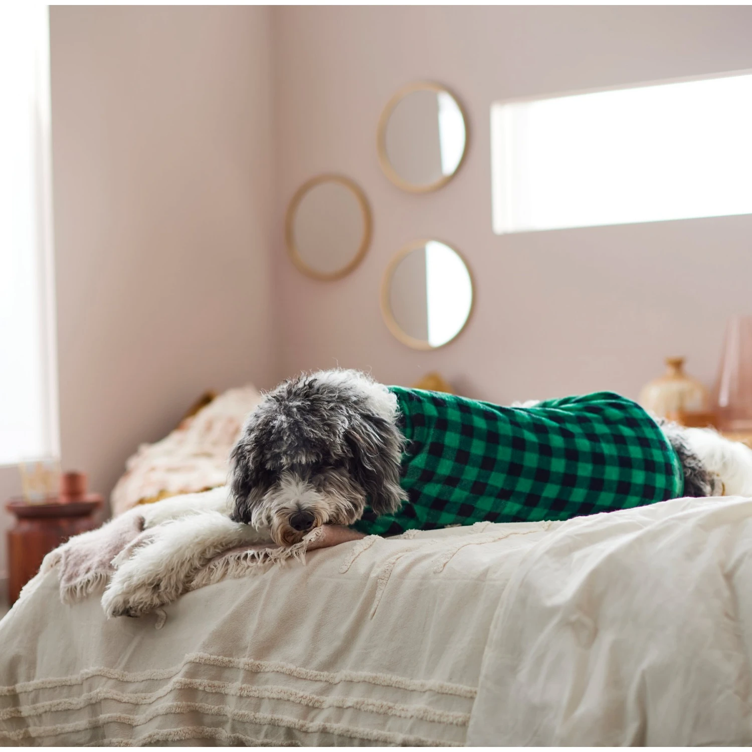 Frisco Dog & Cat Cozy Plush Fleece PJs, Green Plaid - Image 7