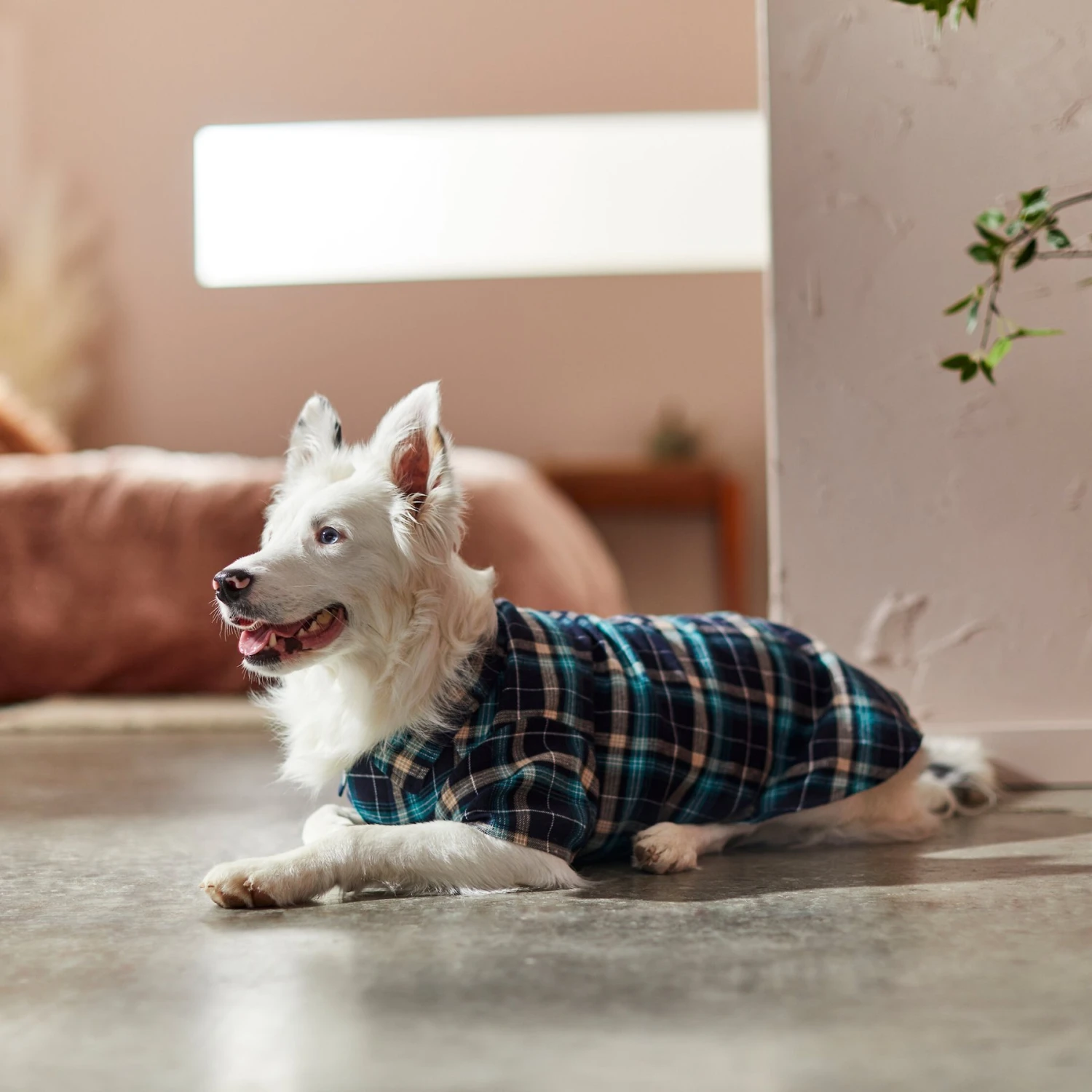 Frisco Multi-Plaid Dog & Cat Flannel Shirt - Image 9